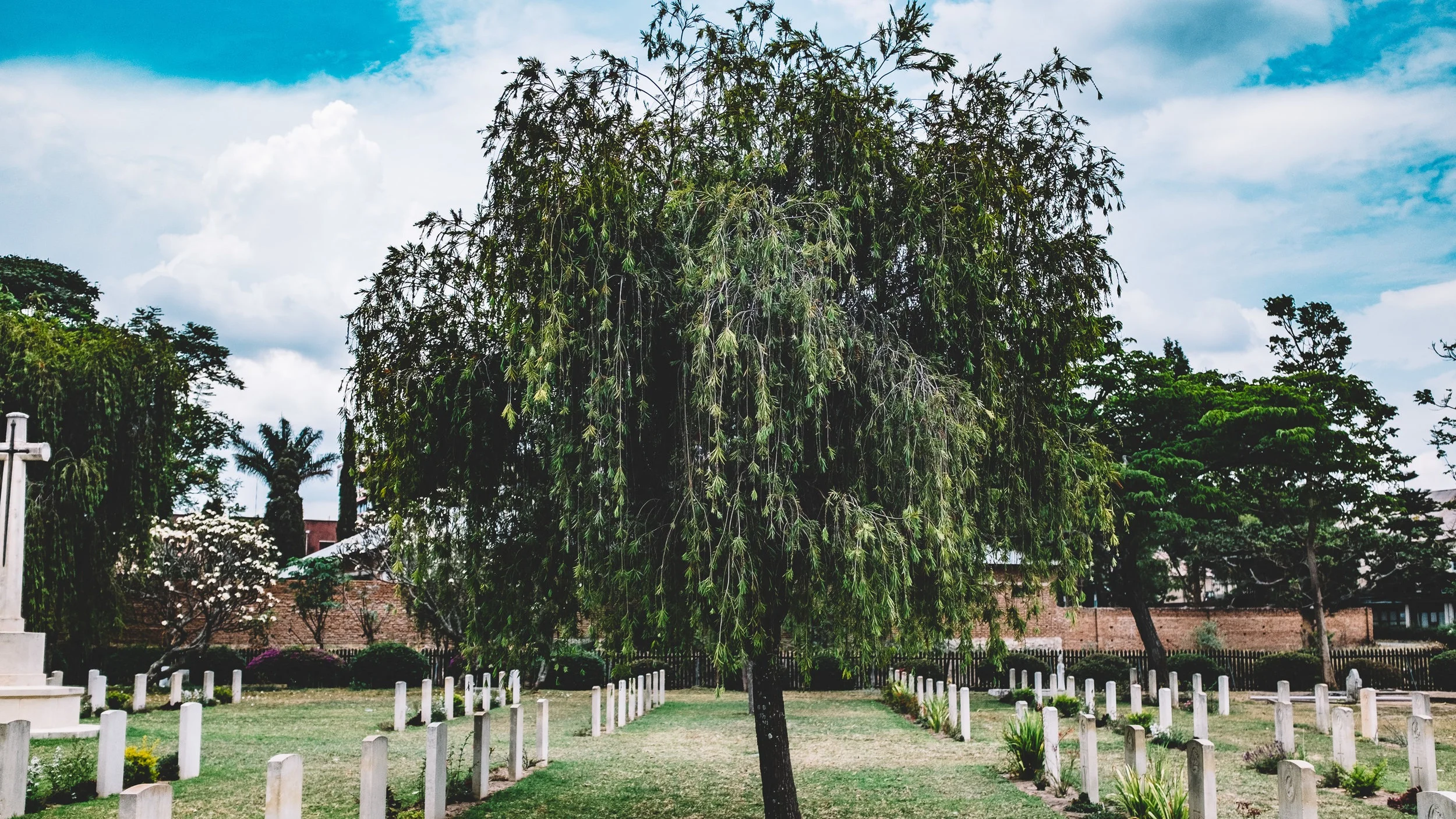  Photo by  Ashim D’Silva  