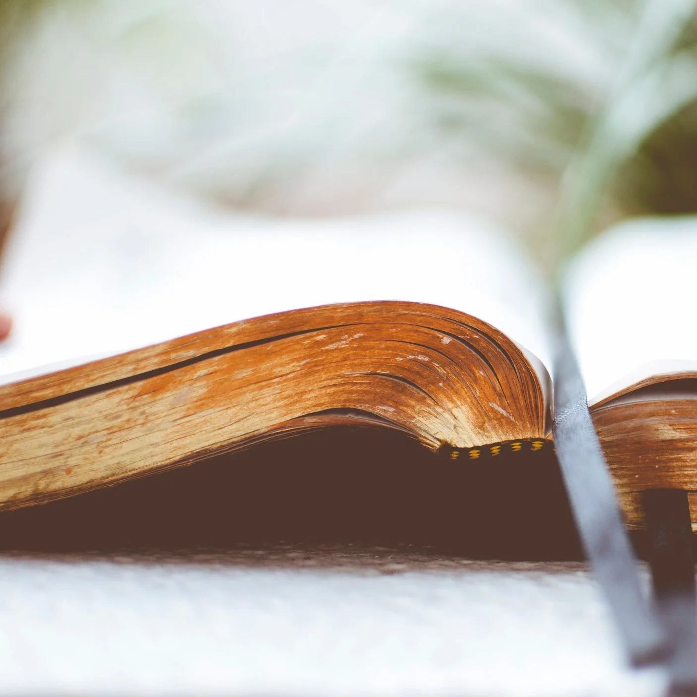 Jesus' Terrible Financial Advice by Jerry Bowyer
