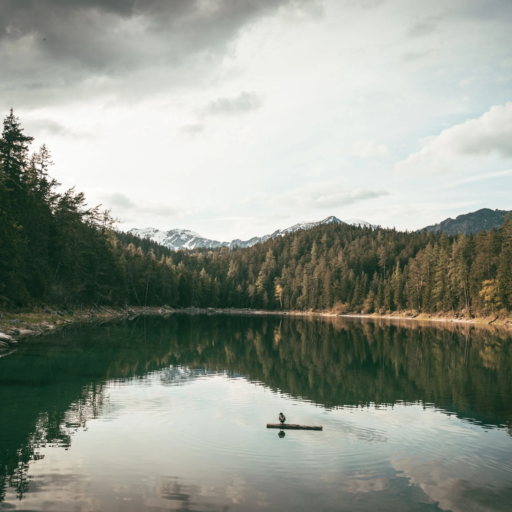 NCF's First Impact Pool