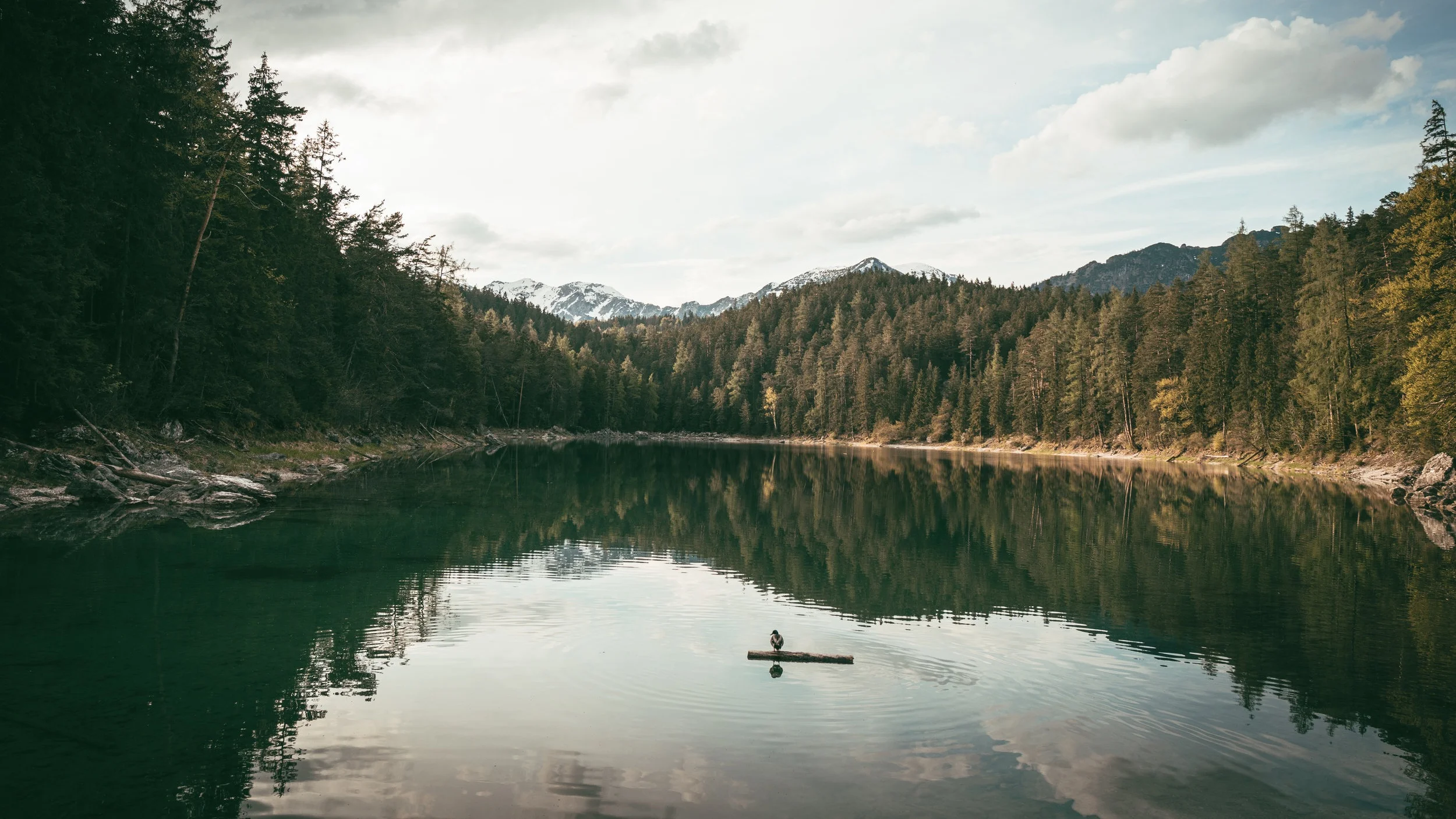  Image by  Stephan Mahlke  