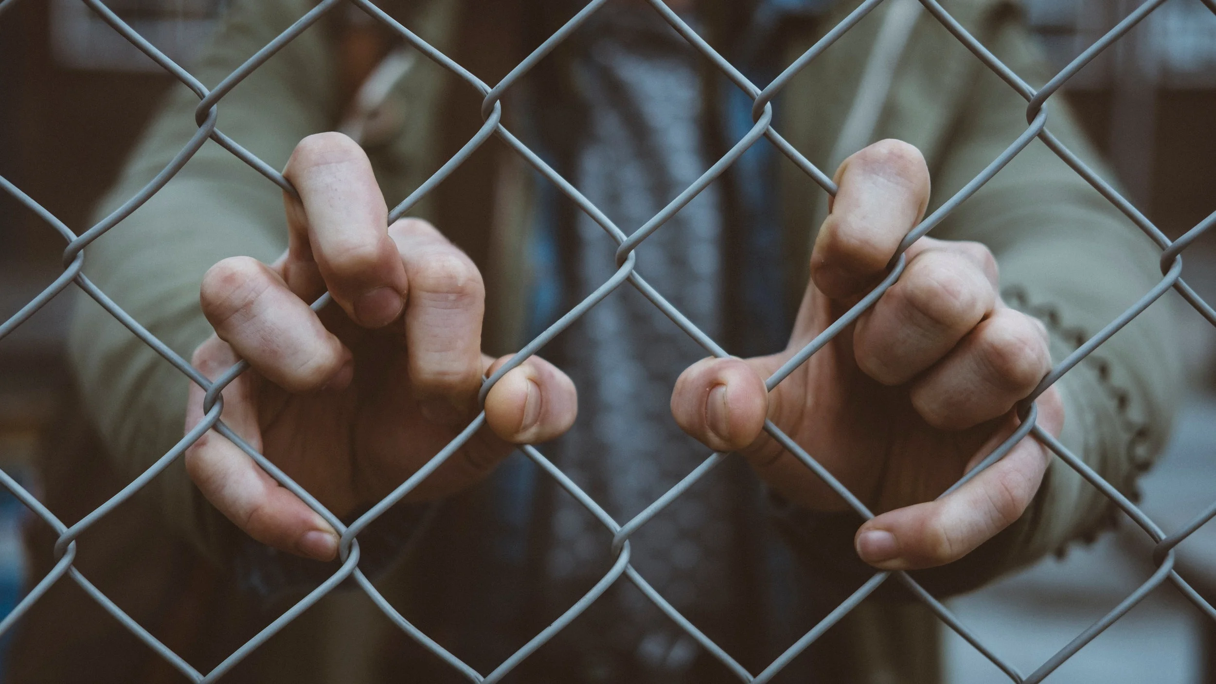  Image by  Mitch Lensink  