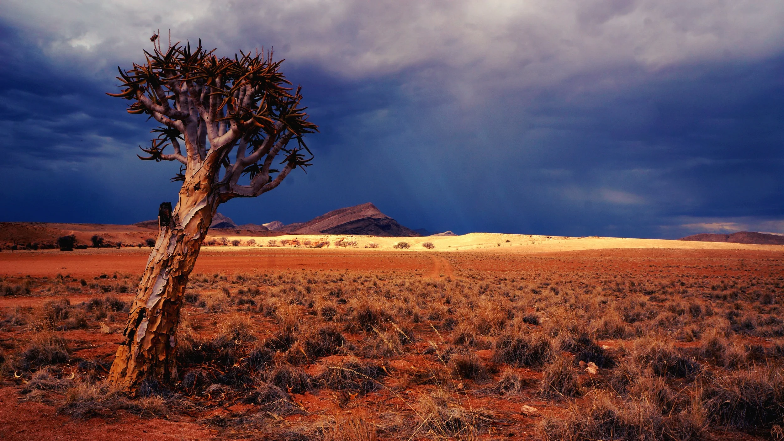   Photo by Johnny Chen  