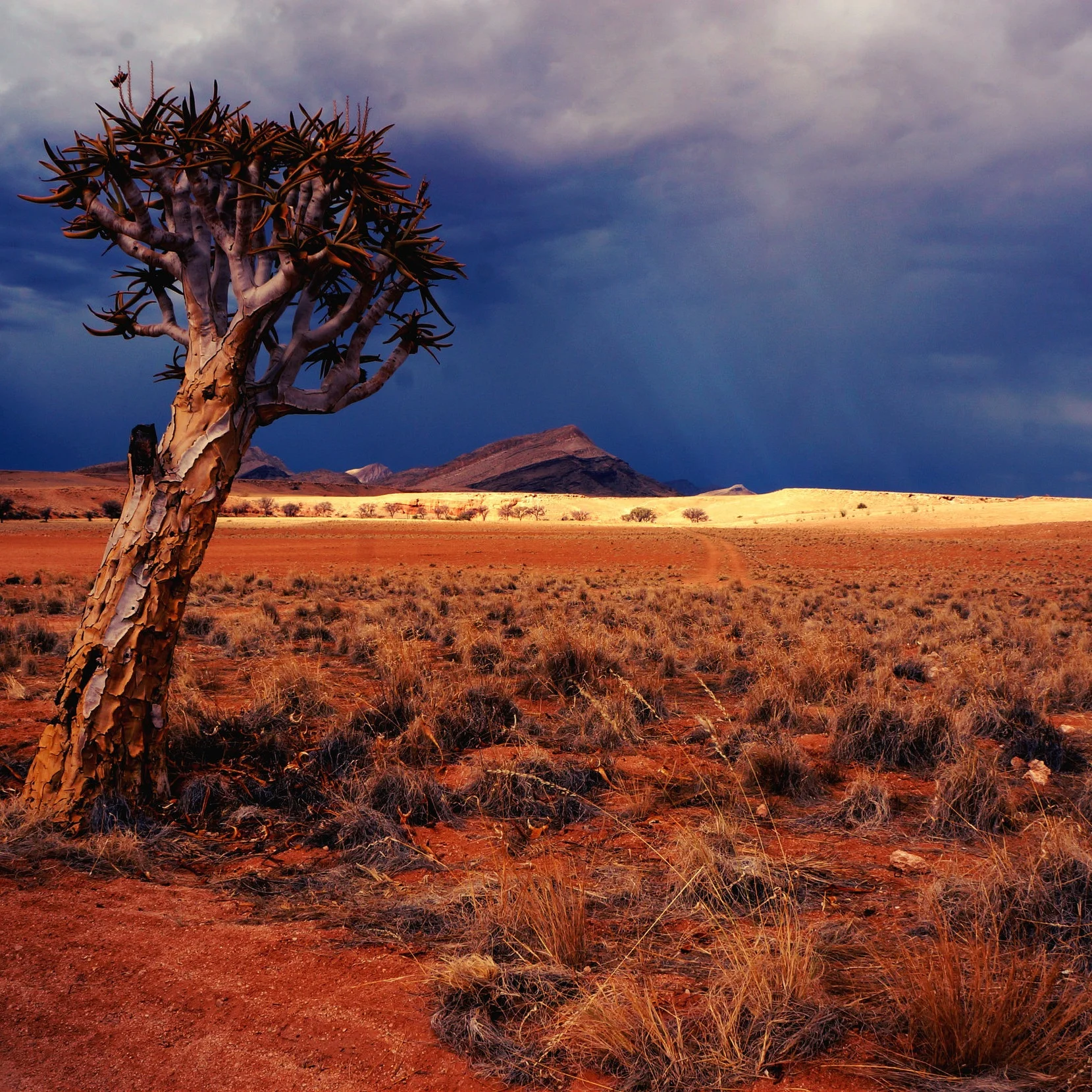 Yes, Even the Poor Can be Greedy by Jerry Bowyer