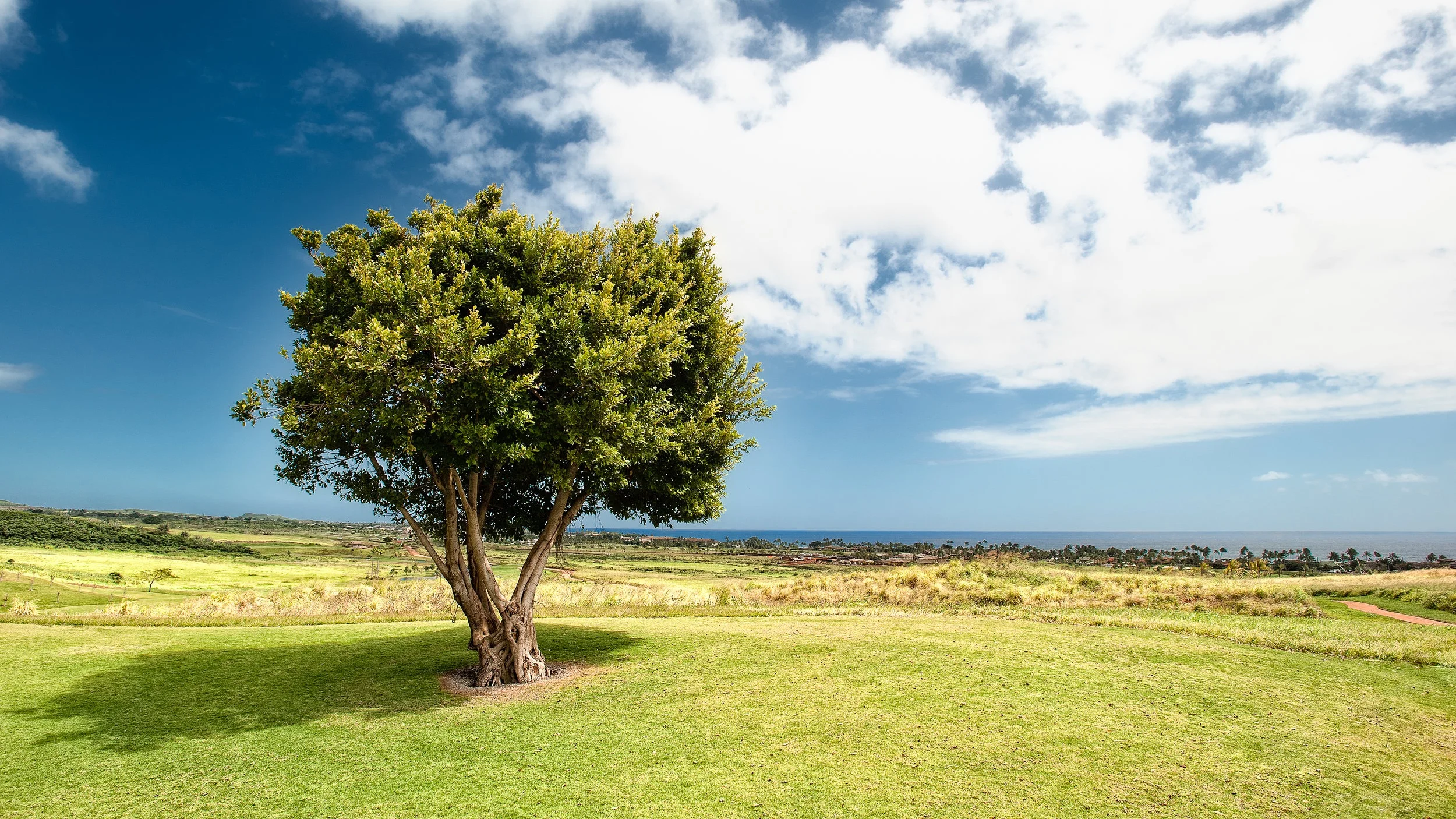   Image by   Jeff King  