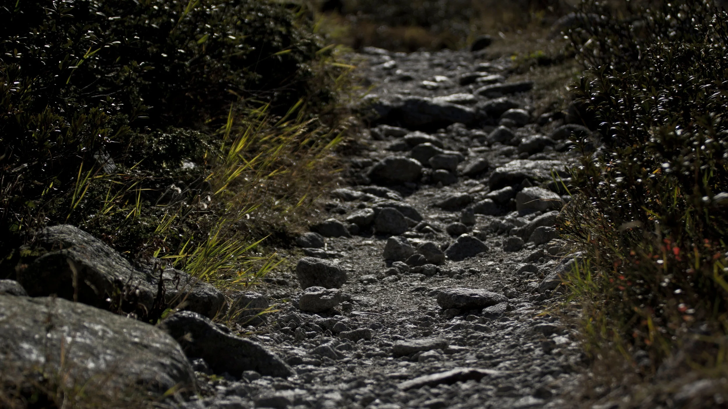   Image by   Simon Infanger  