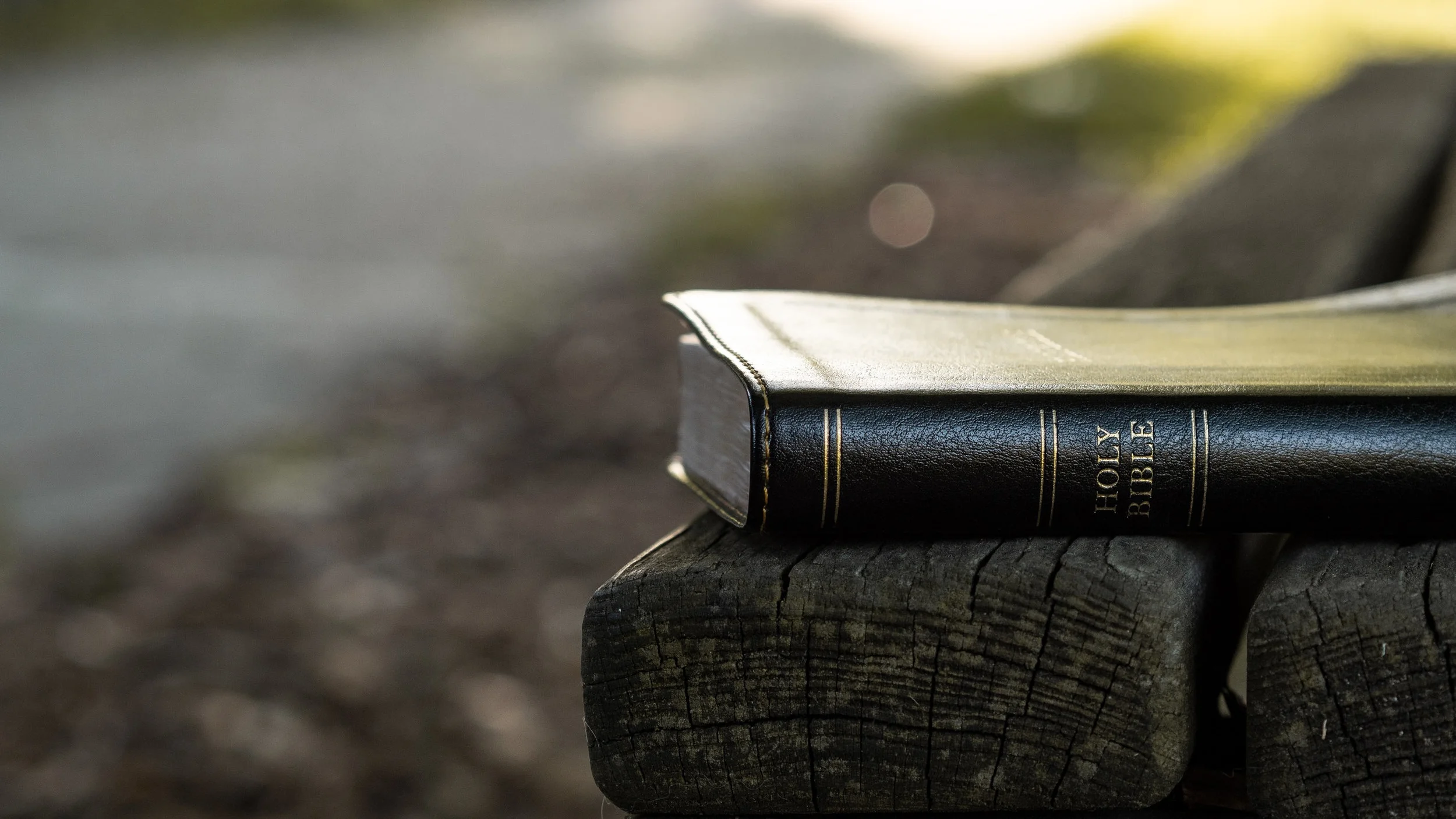   Image by   Aaron Burden  