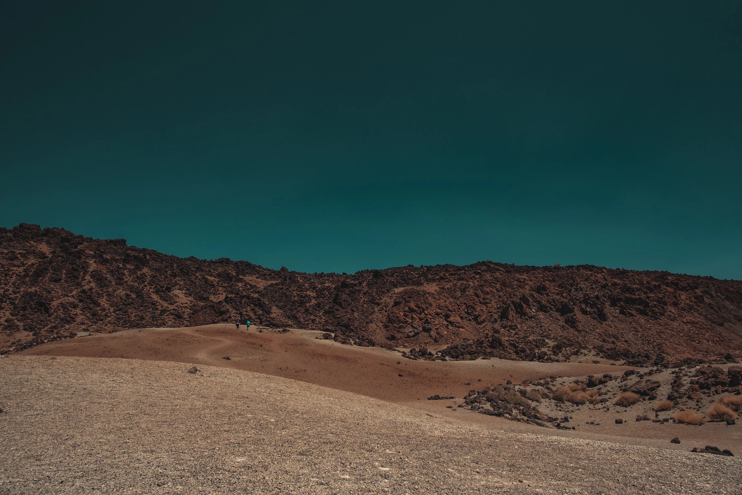   Image by     Alex Plesovskich  