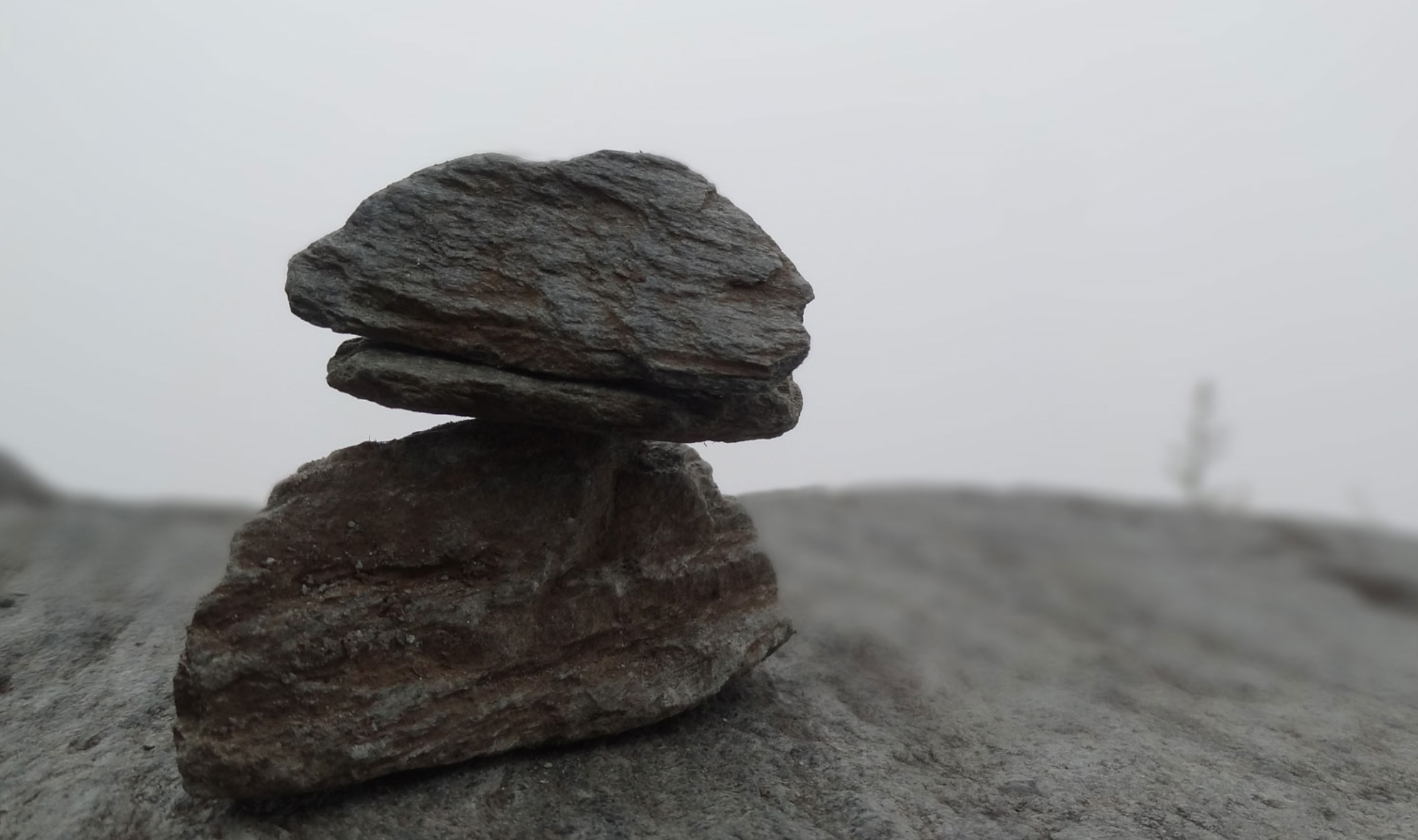 Financial Performance and Social Impact – Being of One Mind