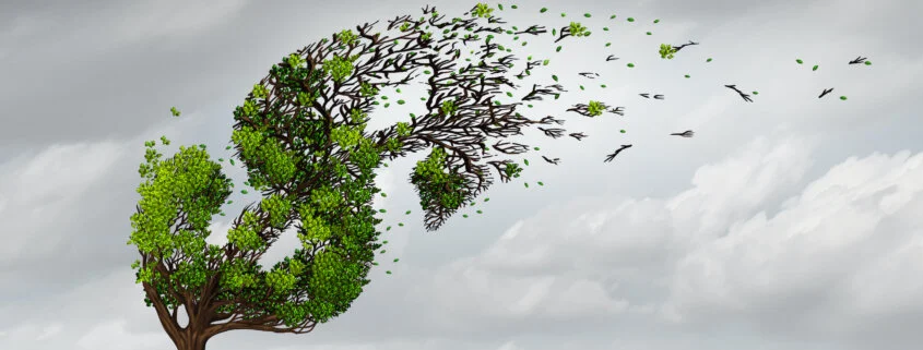 Ill-Wind Investing: Prudent or Profiteering?