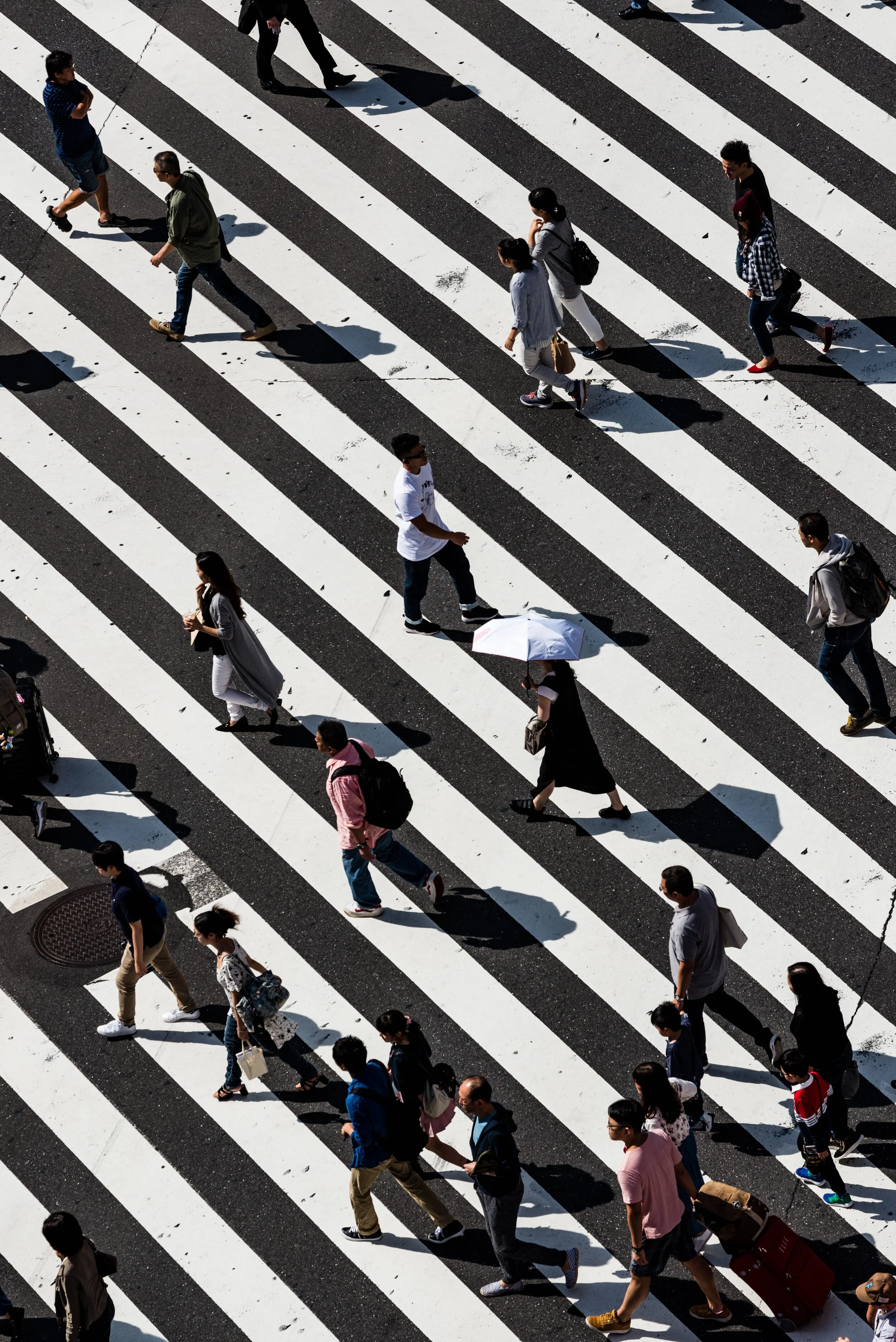  Photo by  Ryoji Iwata  on  Unsplash  