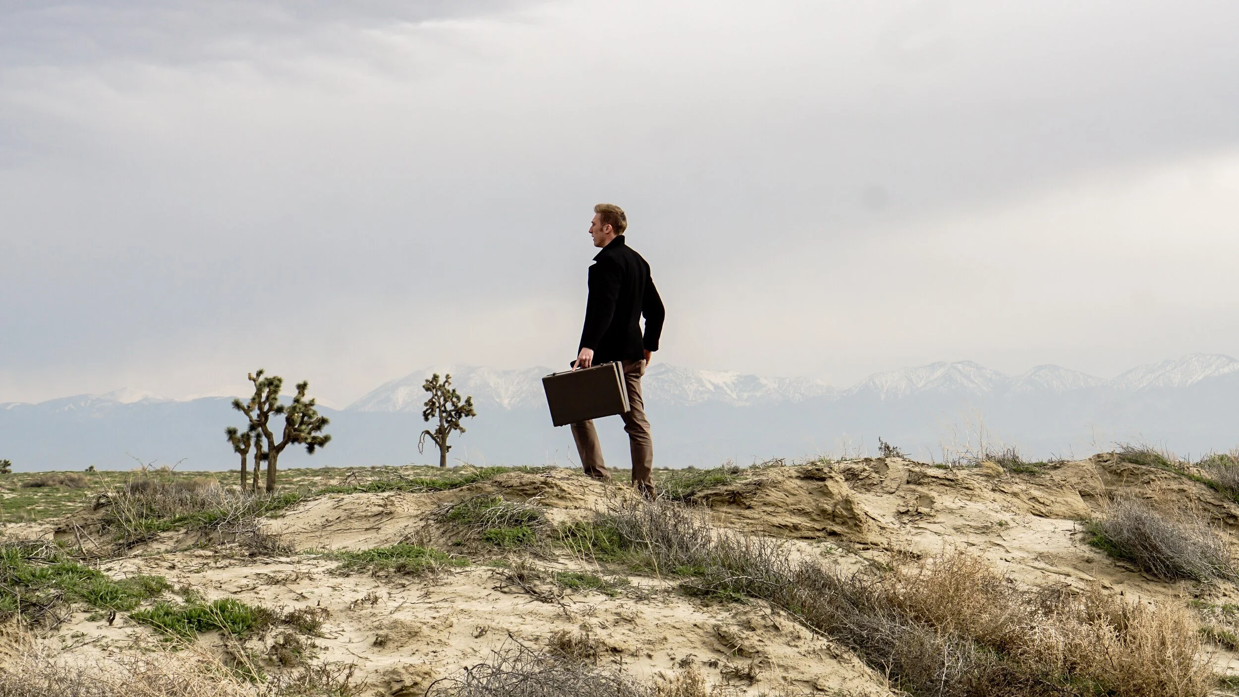 Stewardship as Surrender