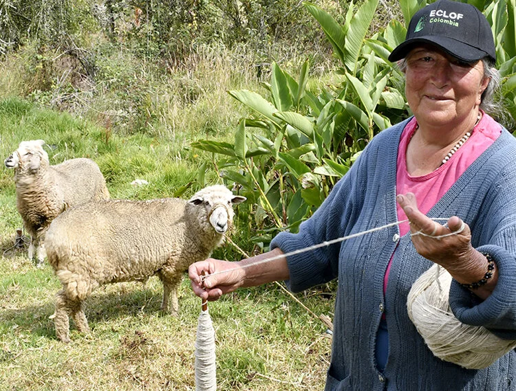   Maria Ines Galvis, a sheep farmer in Colombia, received a loan from     ECLOF International    , a faith-based organization with a mission to promote social justice and human dignity through microfinance. ECLOF International is a Calvert Impact Capital portfolio partner.  