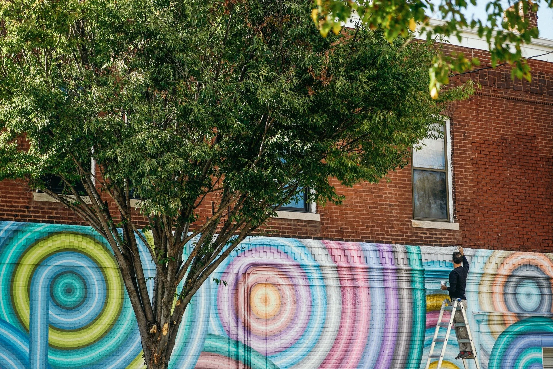 Investing in the Future of Creative Work