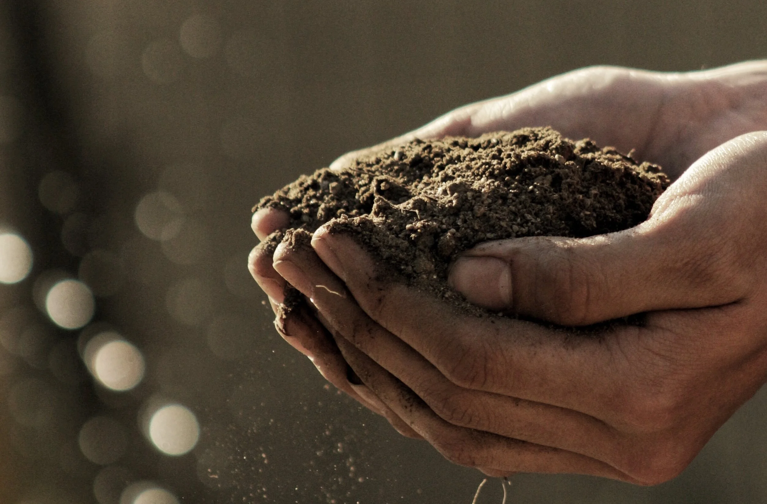 Episode 77 - Investing with the Environment in Mind with Tim Macready