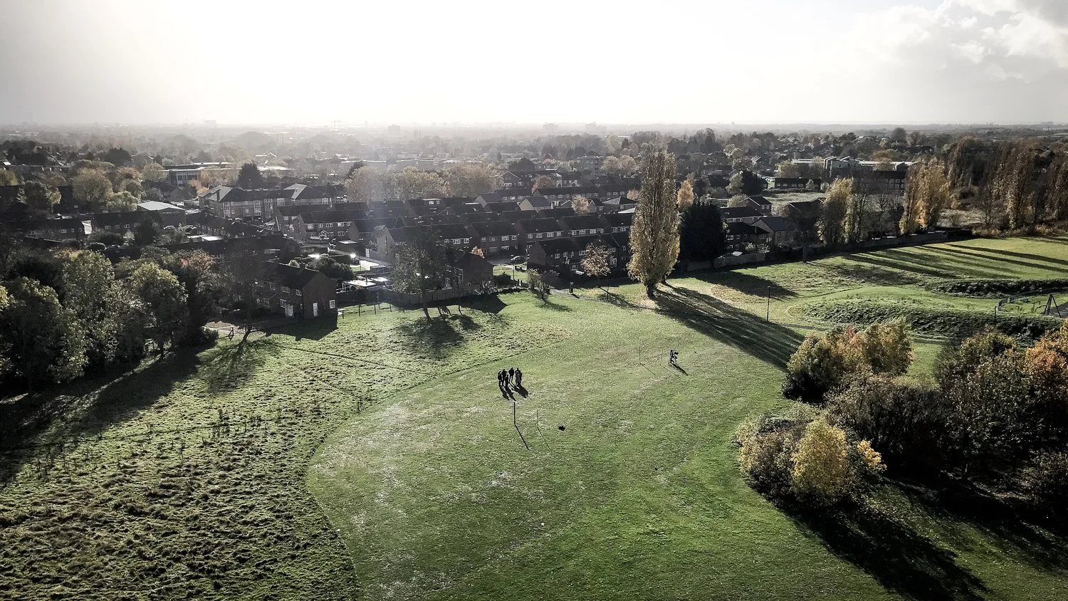 Guide Dogs "We Need Each Other" spot voted Pick of the Day on David Reviews