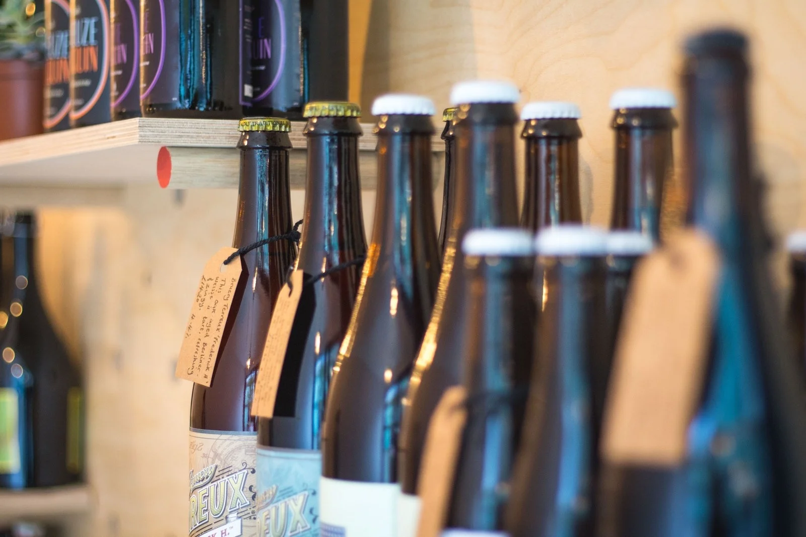 WhatsApp Image 2019-08-09 at 12.43.10 PM.jpeg