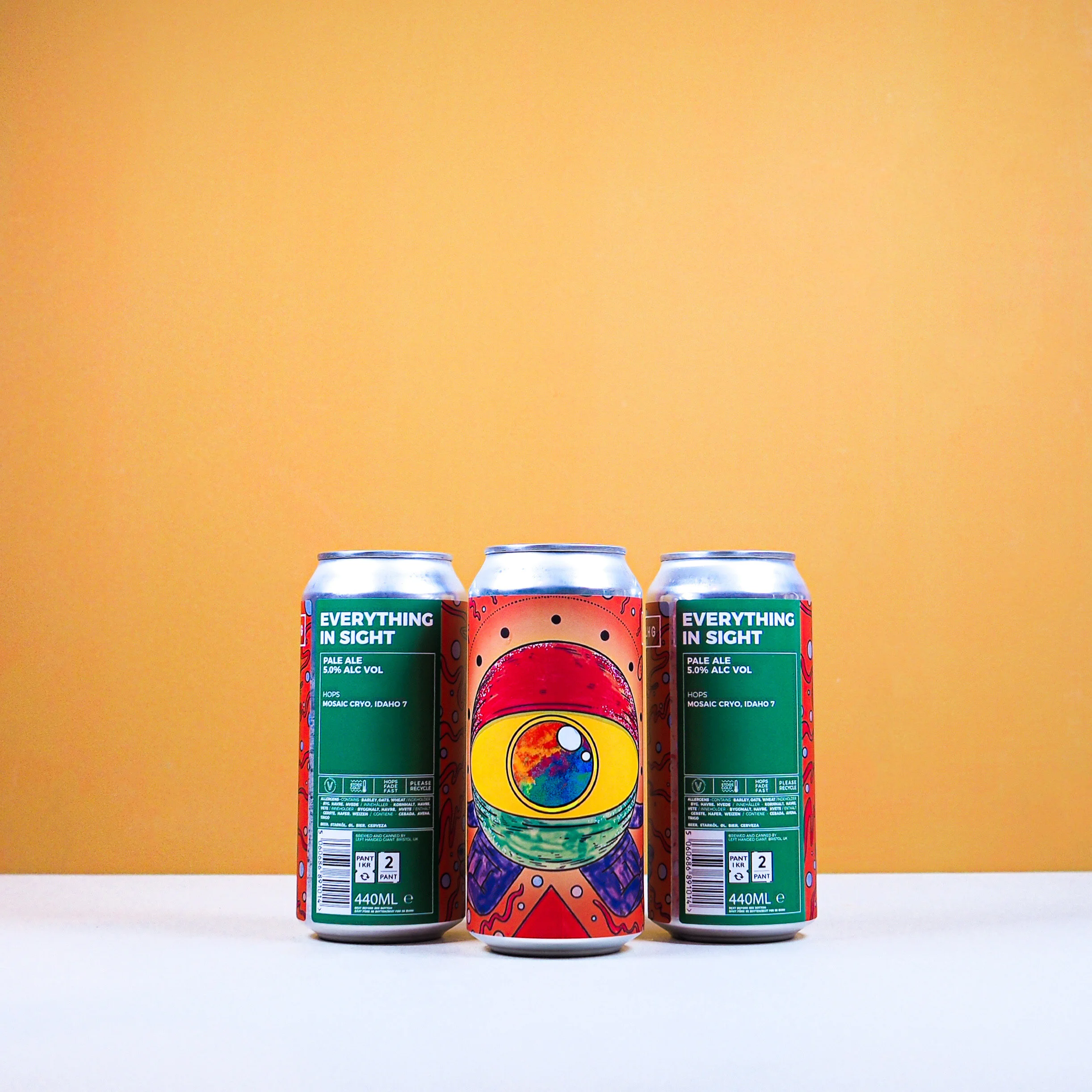 lhg everything in sight.jpg