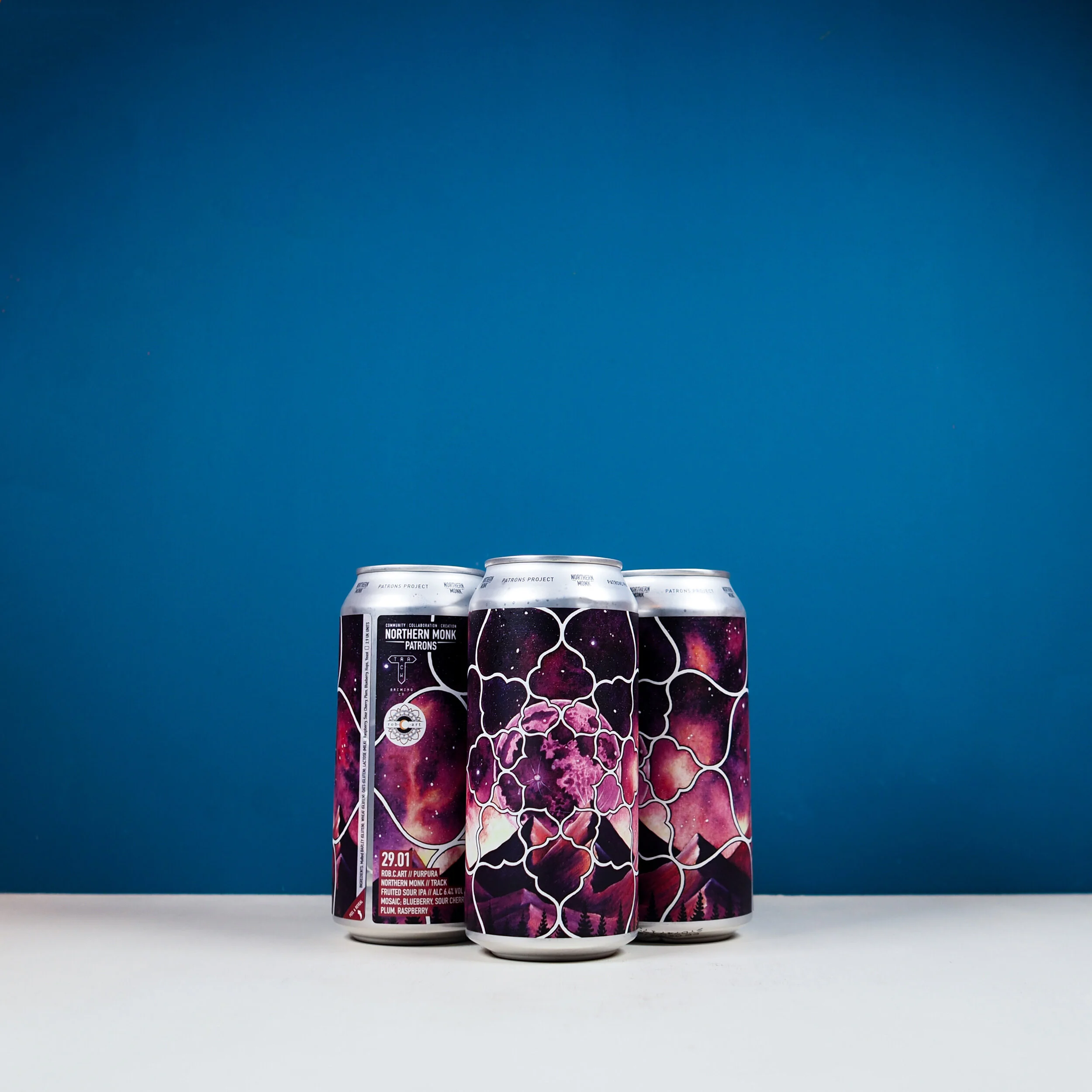 Northern Monk X Track Fruited Sour.jpg