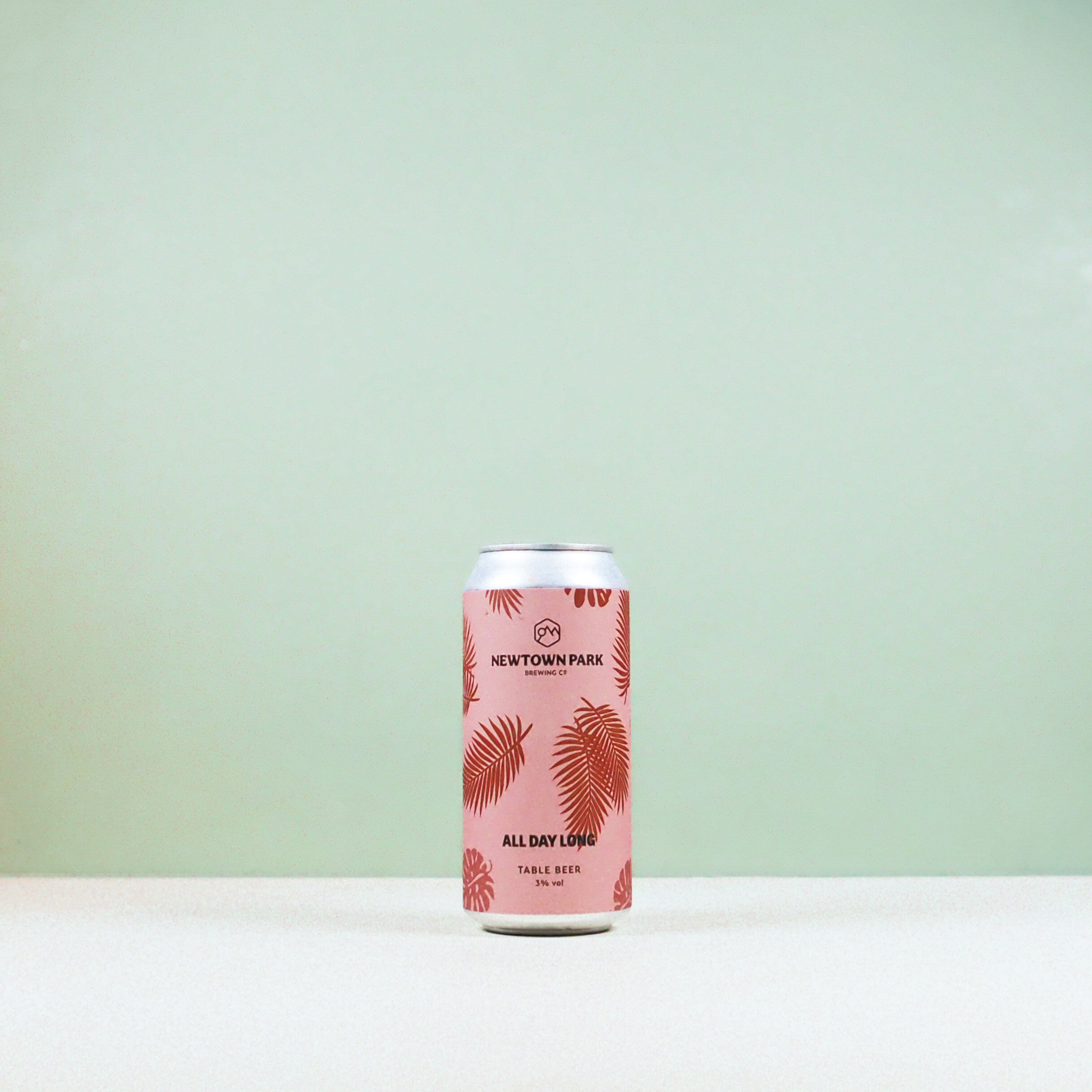 Newtown Park All Day Long