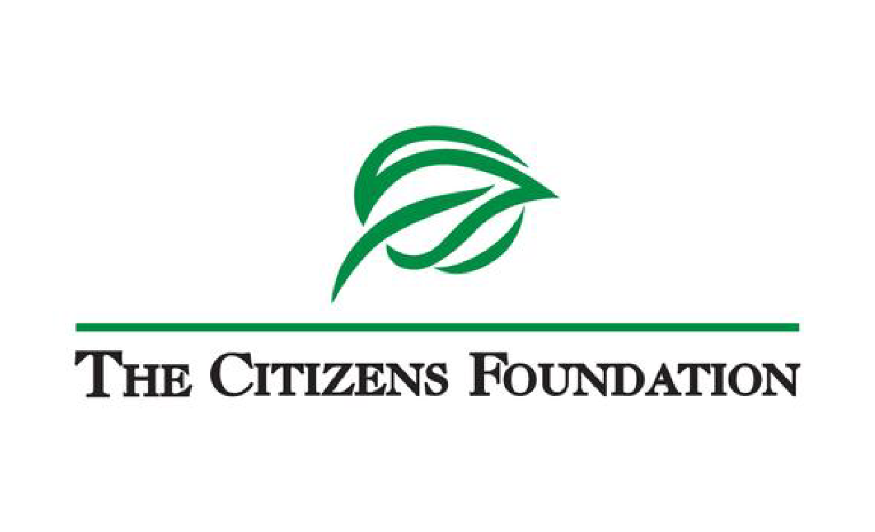 thecitizensfoundation.png