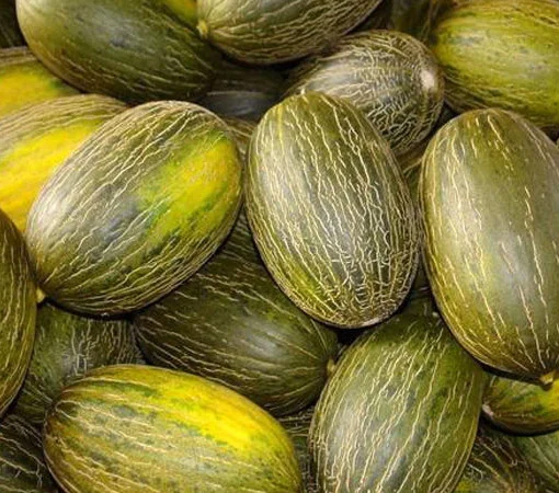Melon-Piel-de-Sapo-Ecologico-510x450.jpg