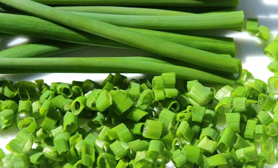 chive-3308468_960_720.jpg
