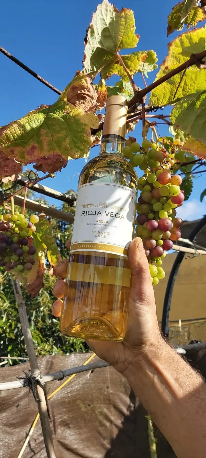 Rioja Vega Blanco 2018