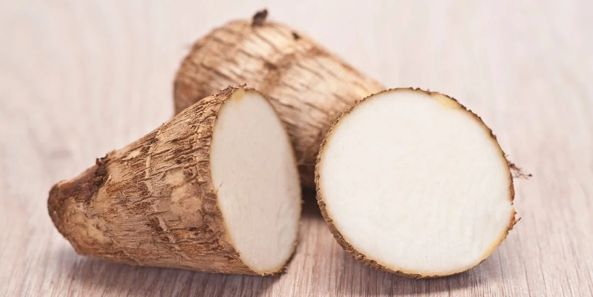 26AC86EE-4A34-4BB1-B0FB-C8160607A8F4