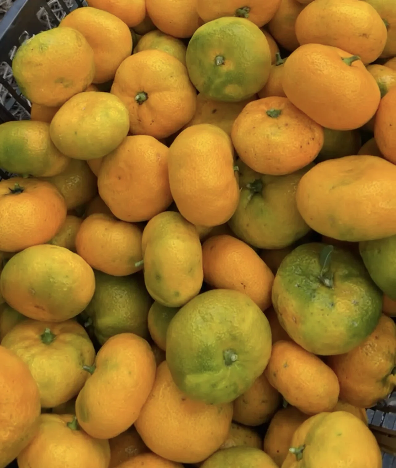 FBA35EA1-3759-48CC-A647-7E9F45349D0A