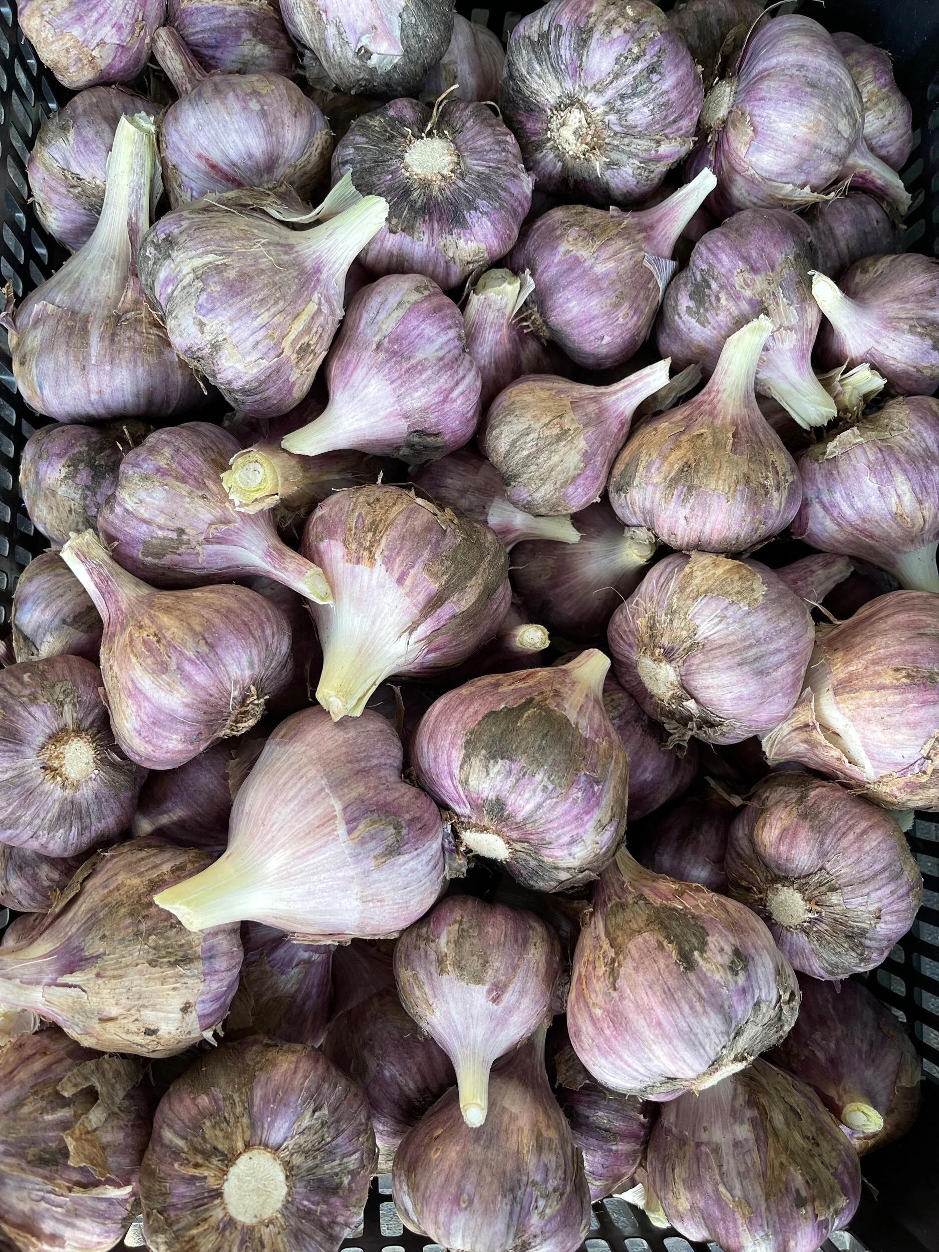 DD51F313-2DA6-4F77-9C0A-2F161A2E07B0