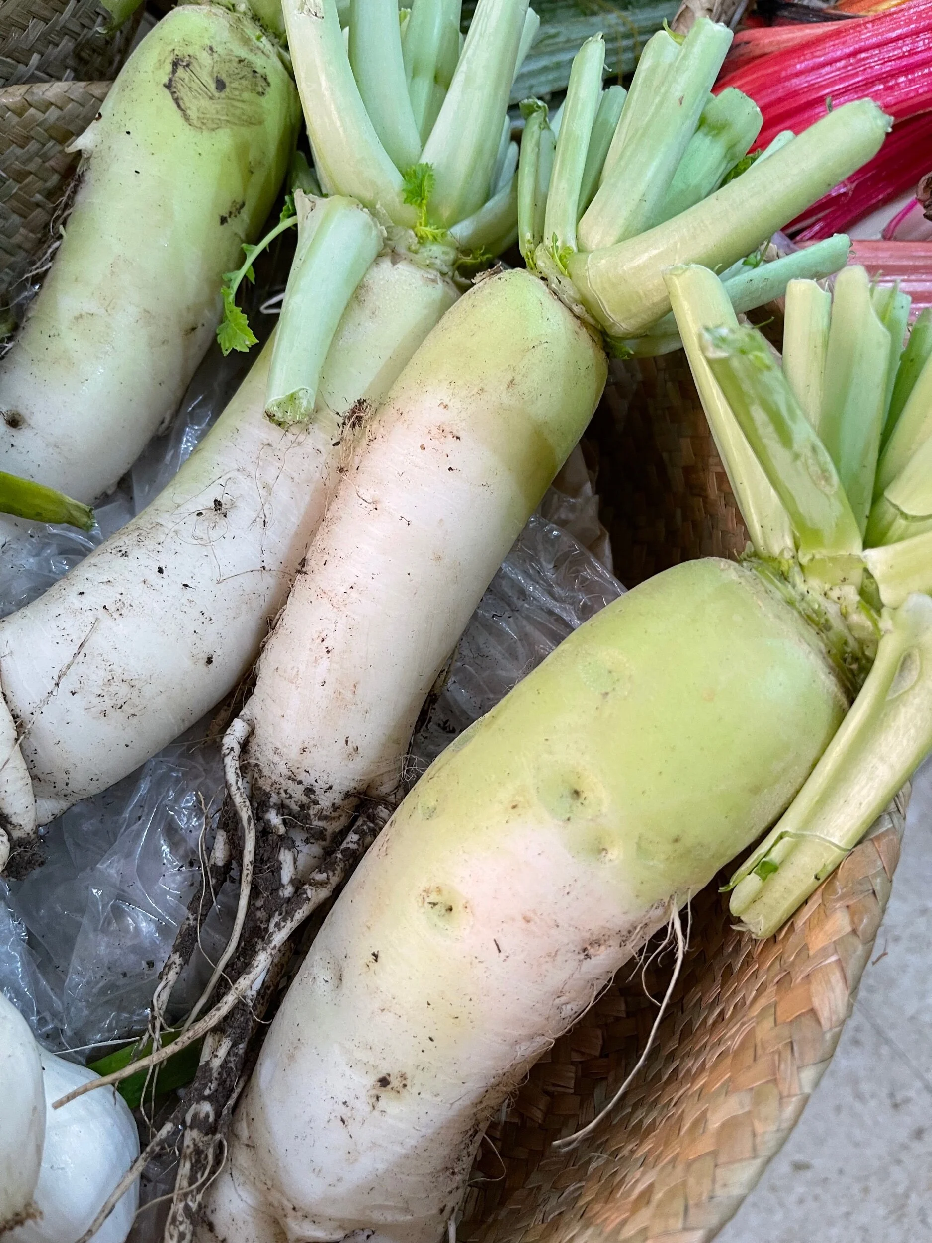 F3060B87-7750-4903-8562-C12F820C3A10