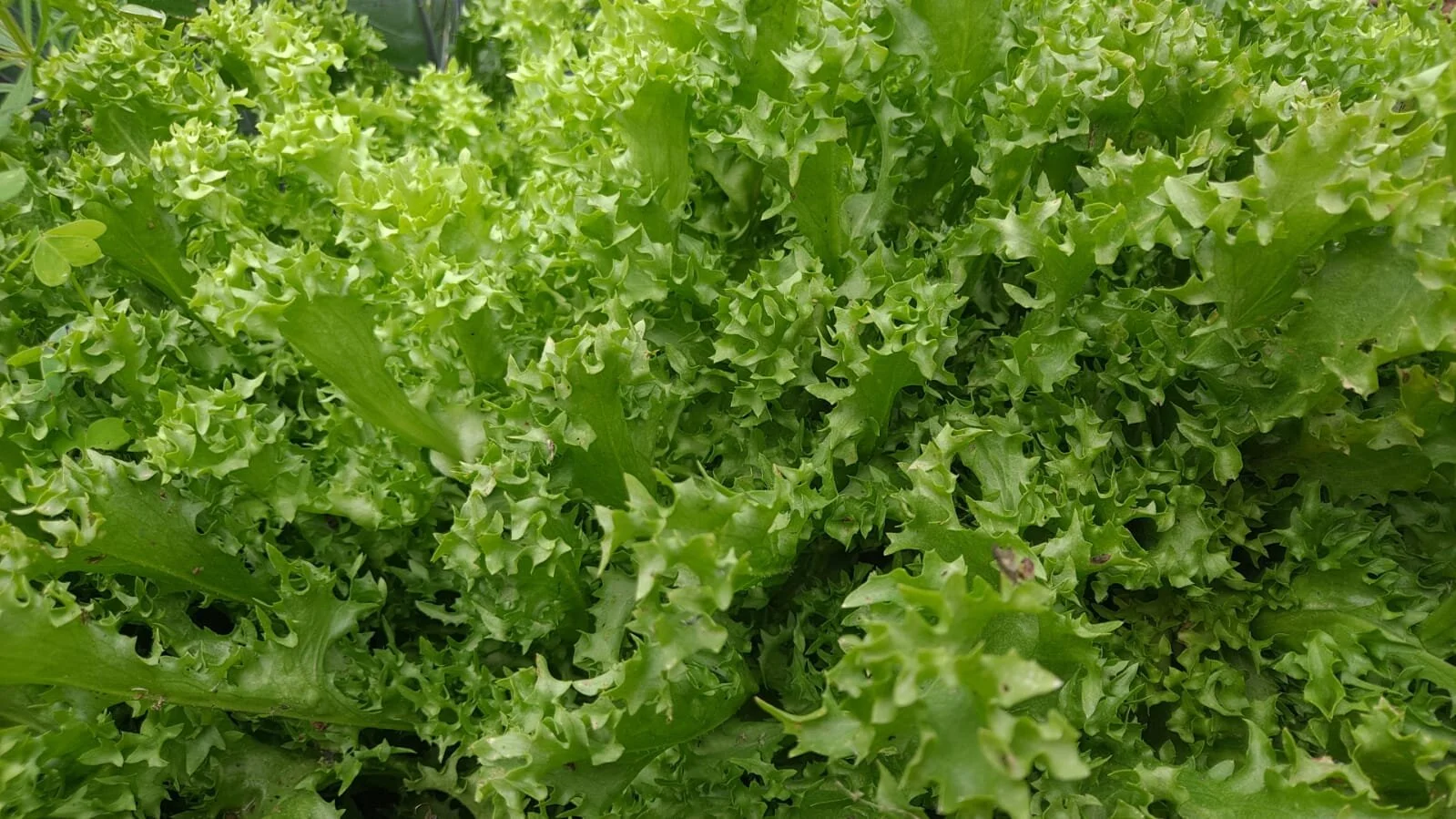 E8E3443A-5A8F-438A-99E0-6B3AF3B8A20C