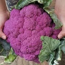 24E36B5C-290E-45CF-8510-4323EC59962F