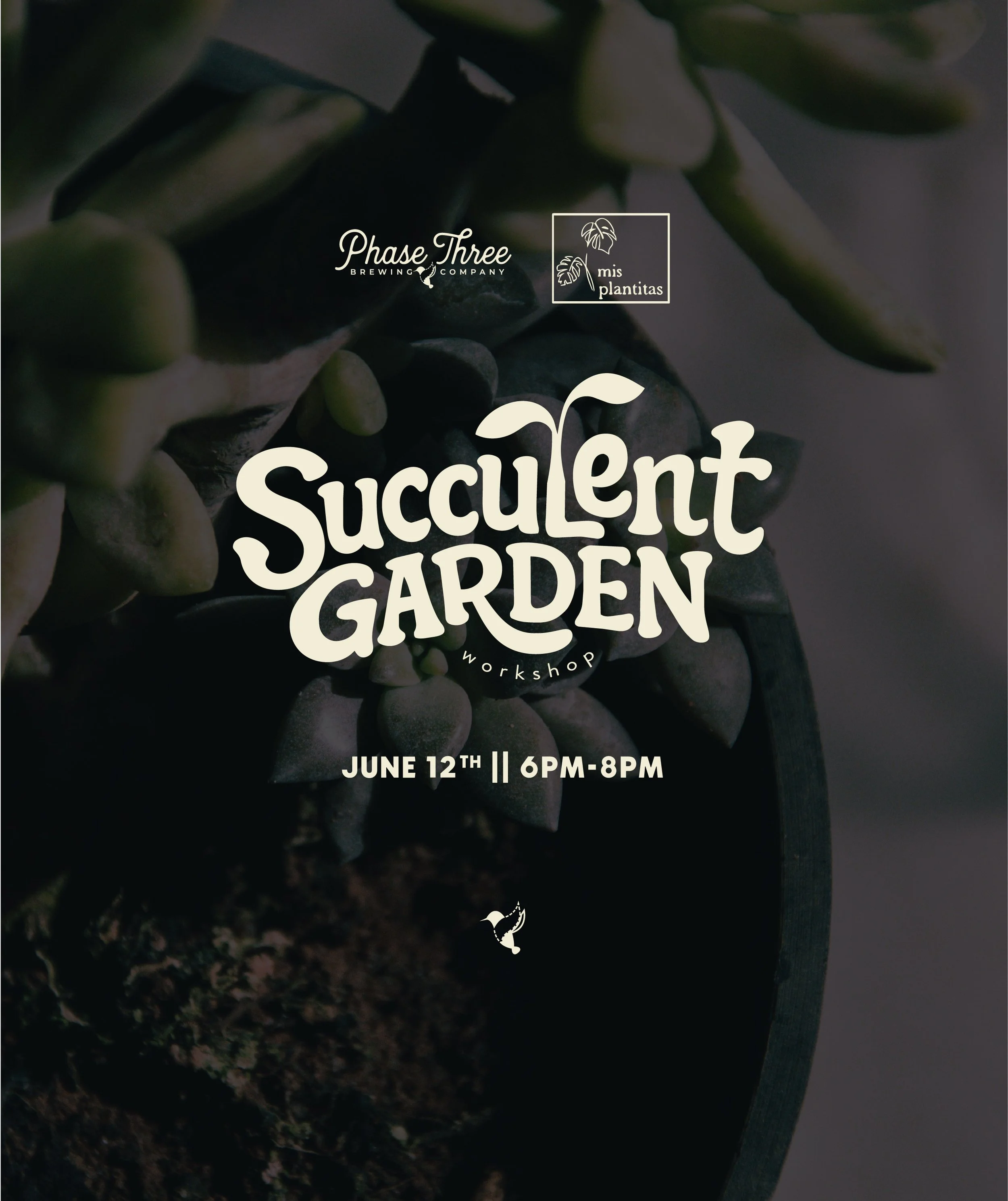 Succulent Garden Workshop