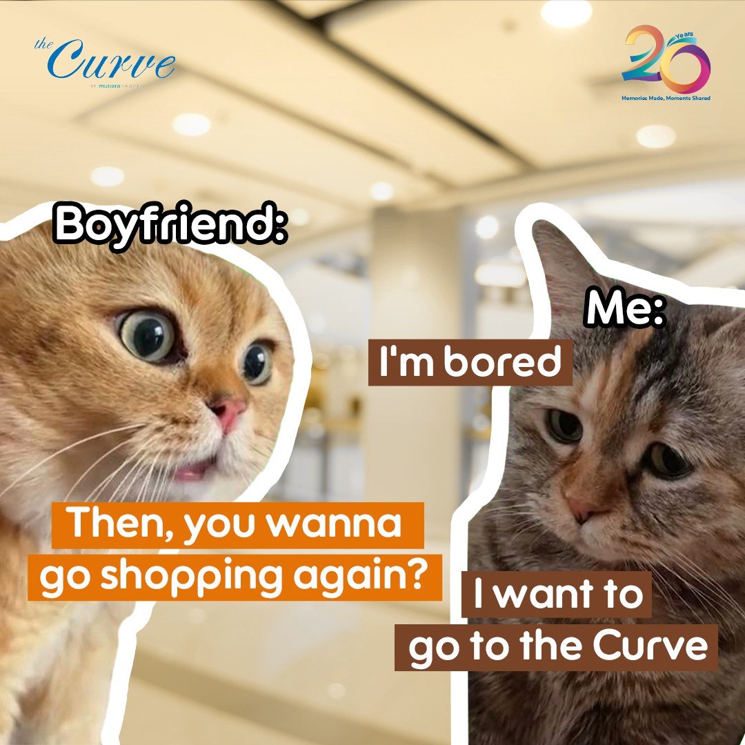 Discover why shopping at the Curve is an experience like no other &ndash; even the cats approve! From endless choices to irresistible deals, there's always a reason to come.

Have you explored the hidden gems waiting for you at the Curve?

#theCurve 