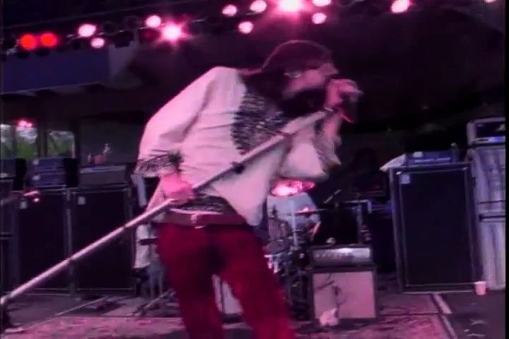 Black Crowes “Sting Me”