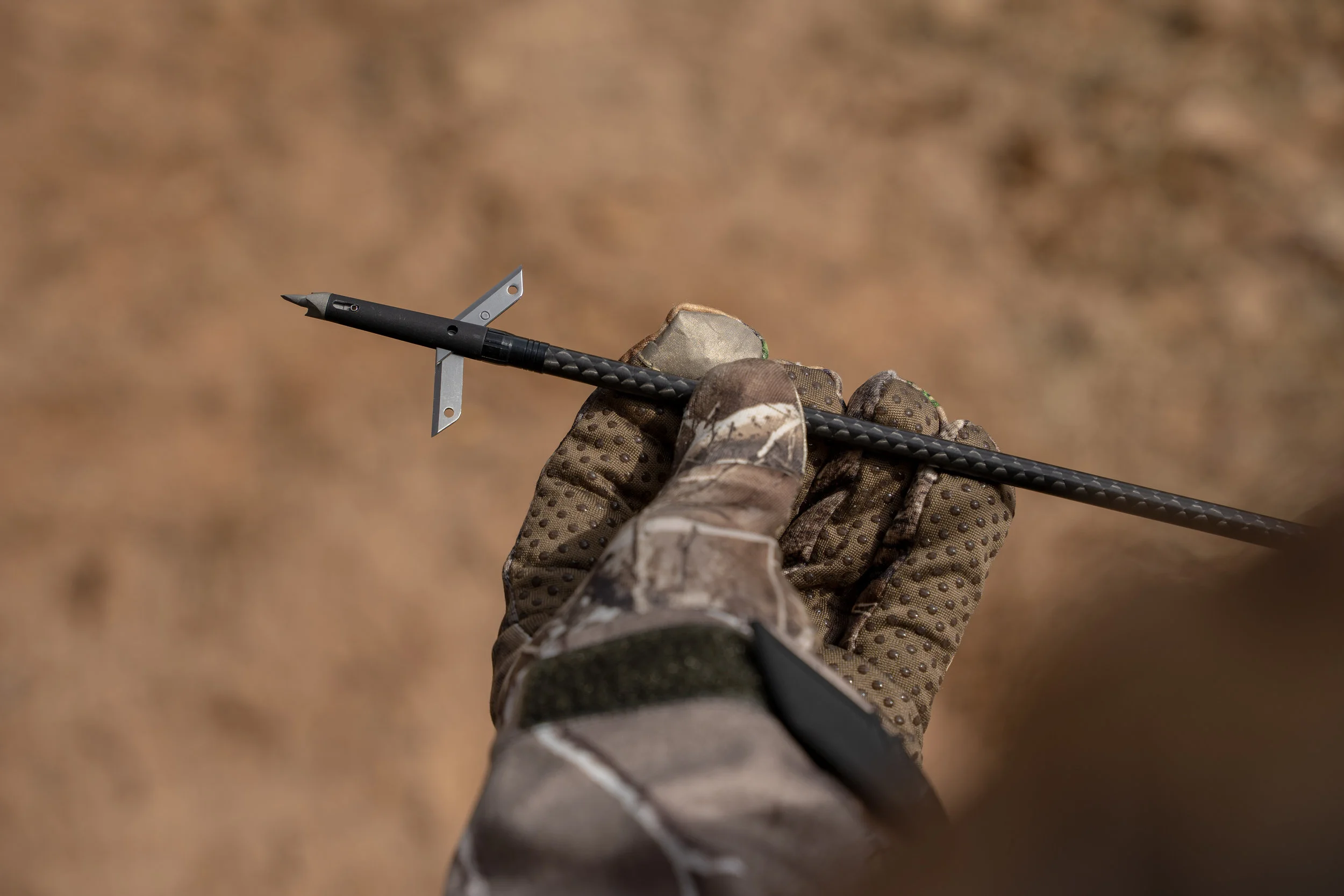 Thorn_00369.jpg