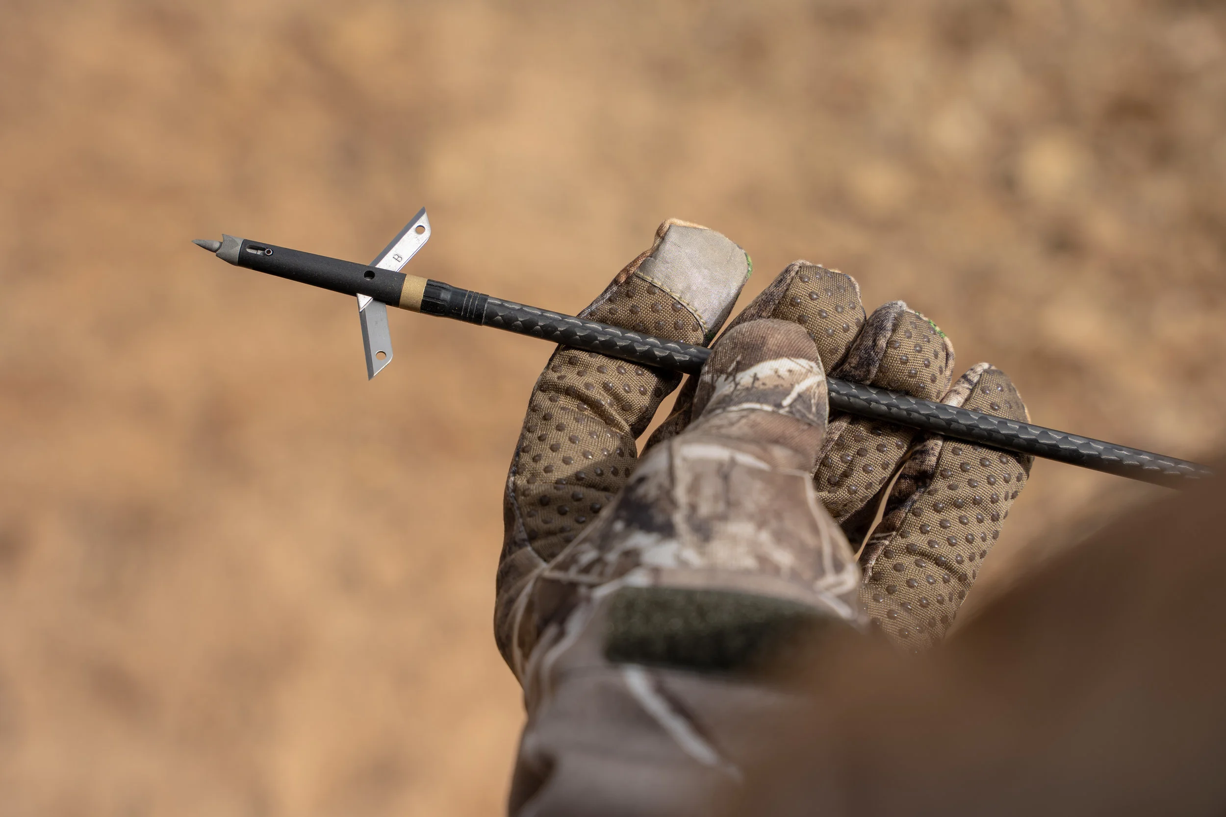 Thorn_00374.jpg