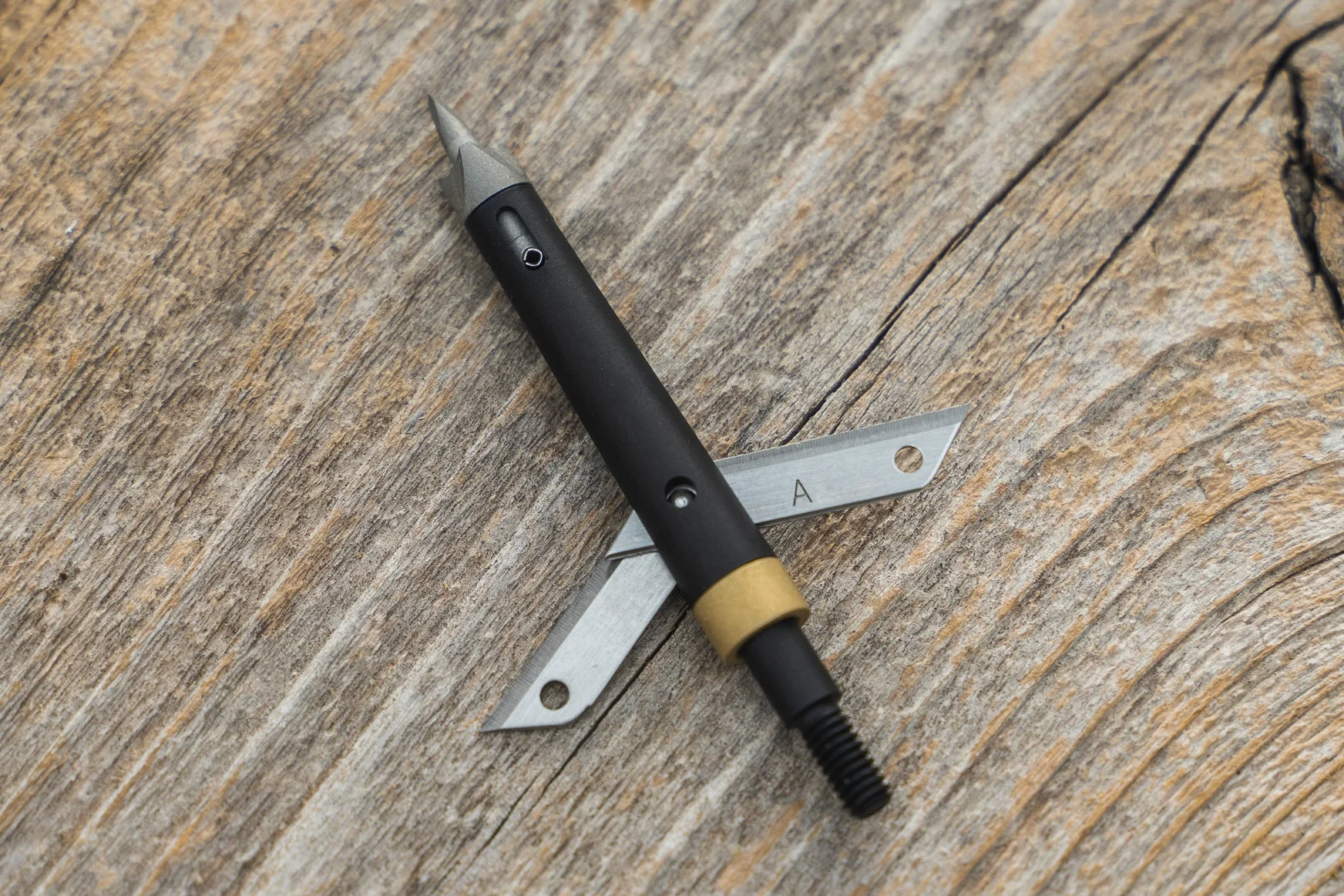 Thorn_00025.jpg