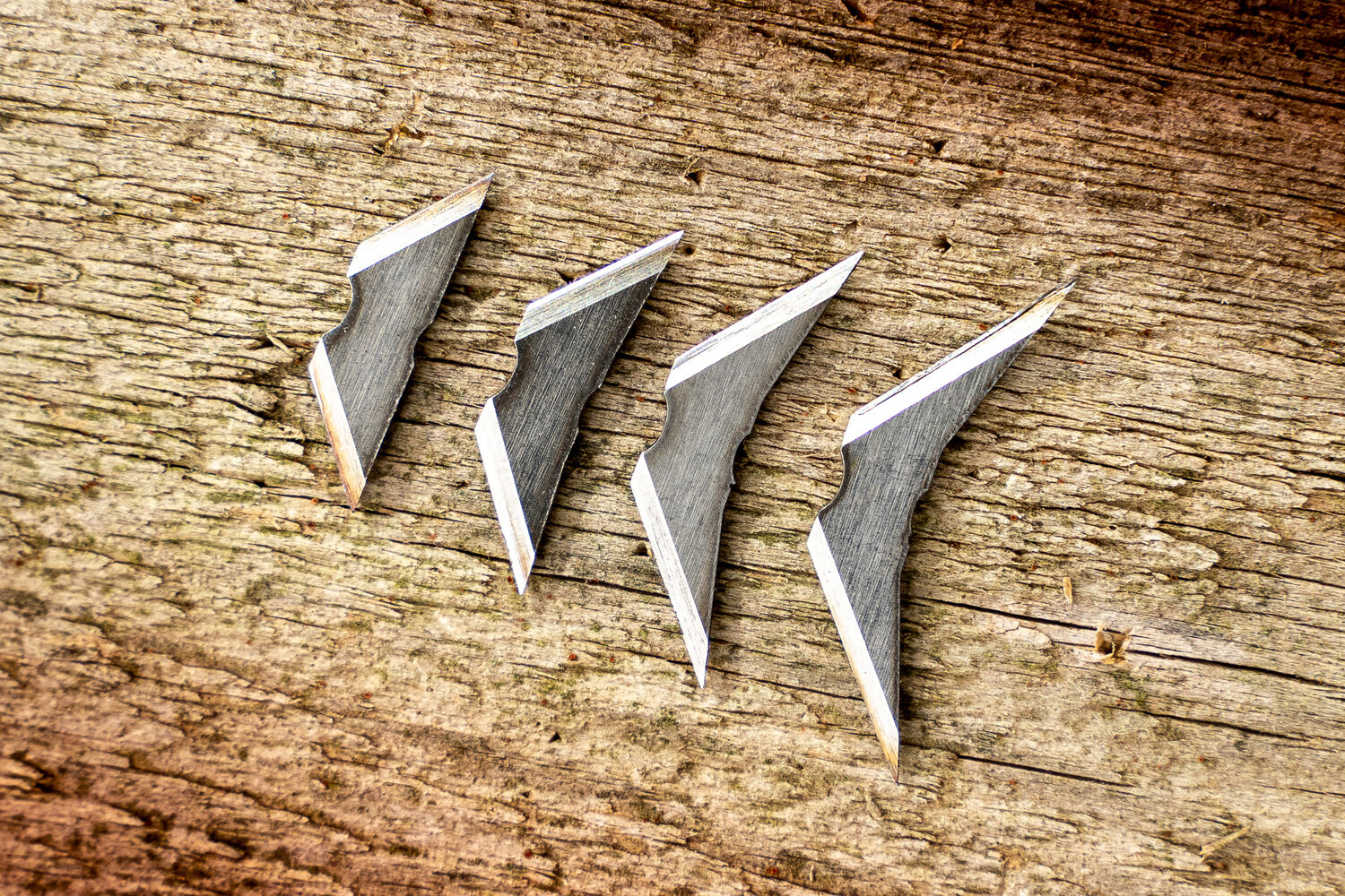 100//125 Grain Broadheads for Crossbow//Compound Bow Crown Broadheads by Thorn