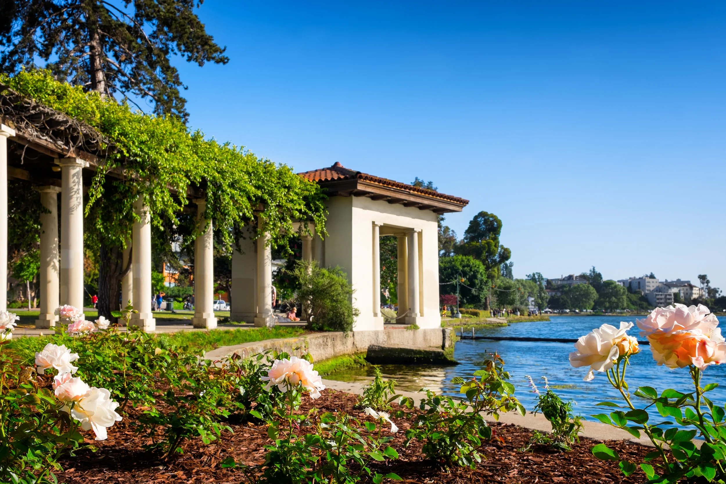AdobeStock_151307165.jpeg