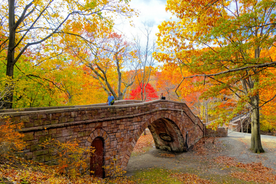 Emerald Necklace_Boston.png
