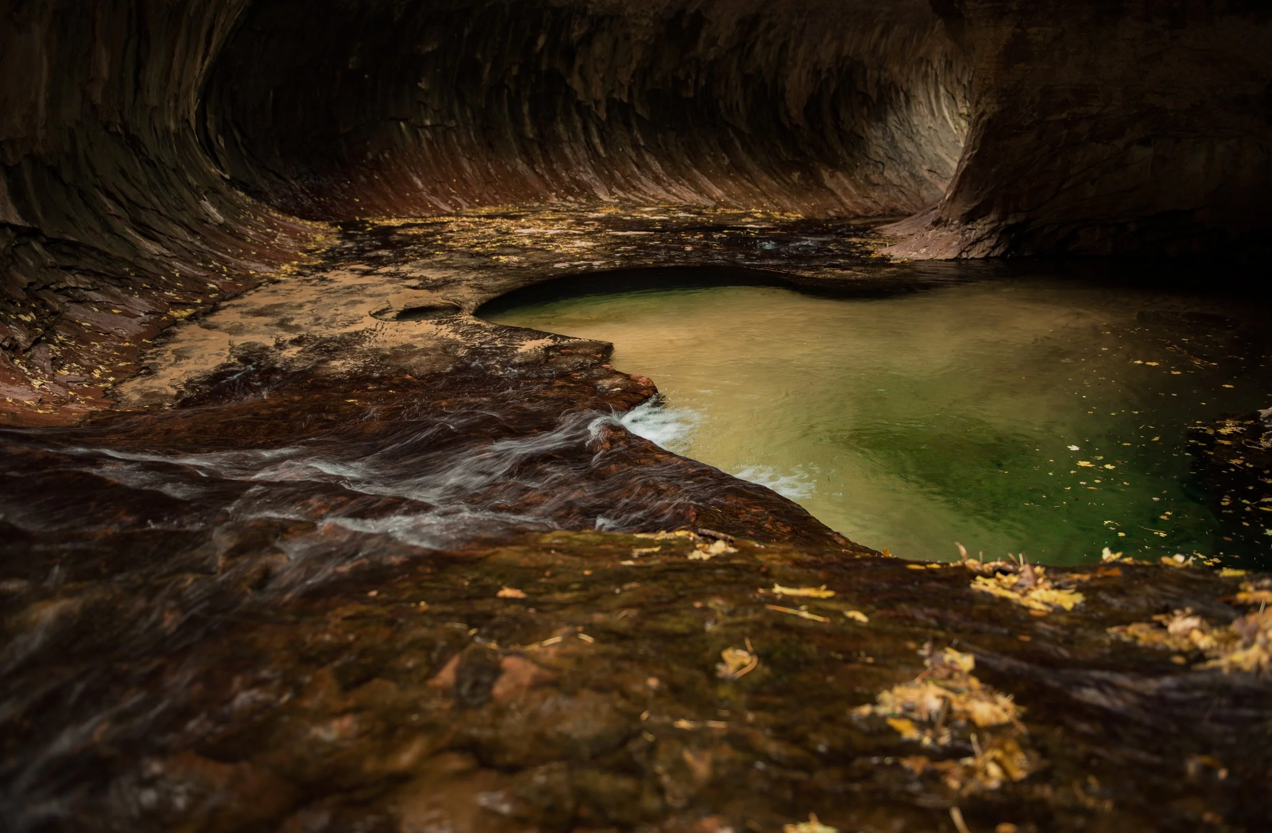   Nature’s Pool  | Zion National Park 