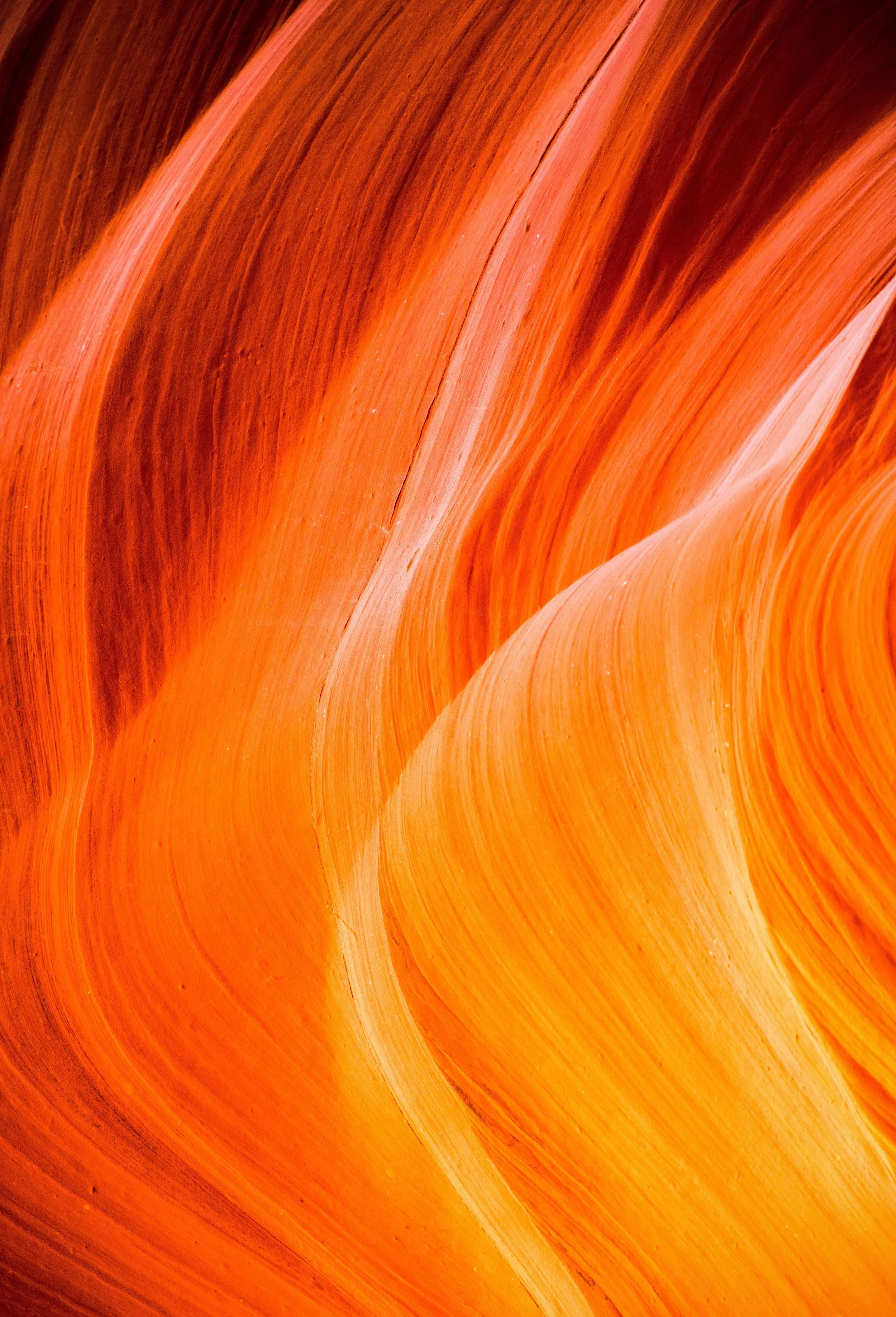   Fire Wave  | Arizona 