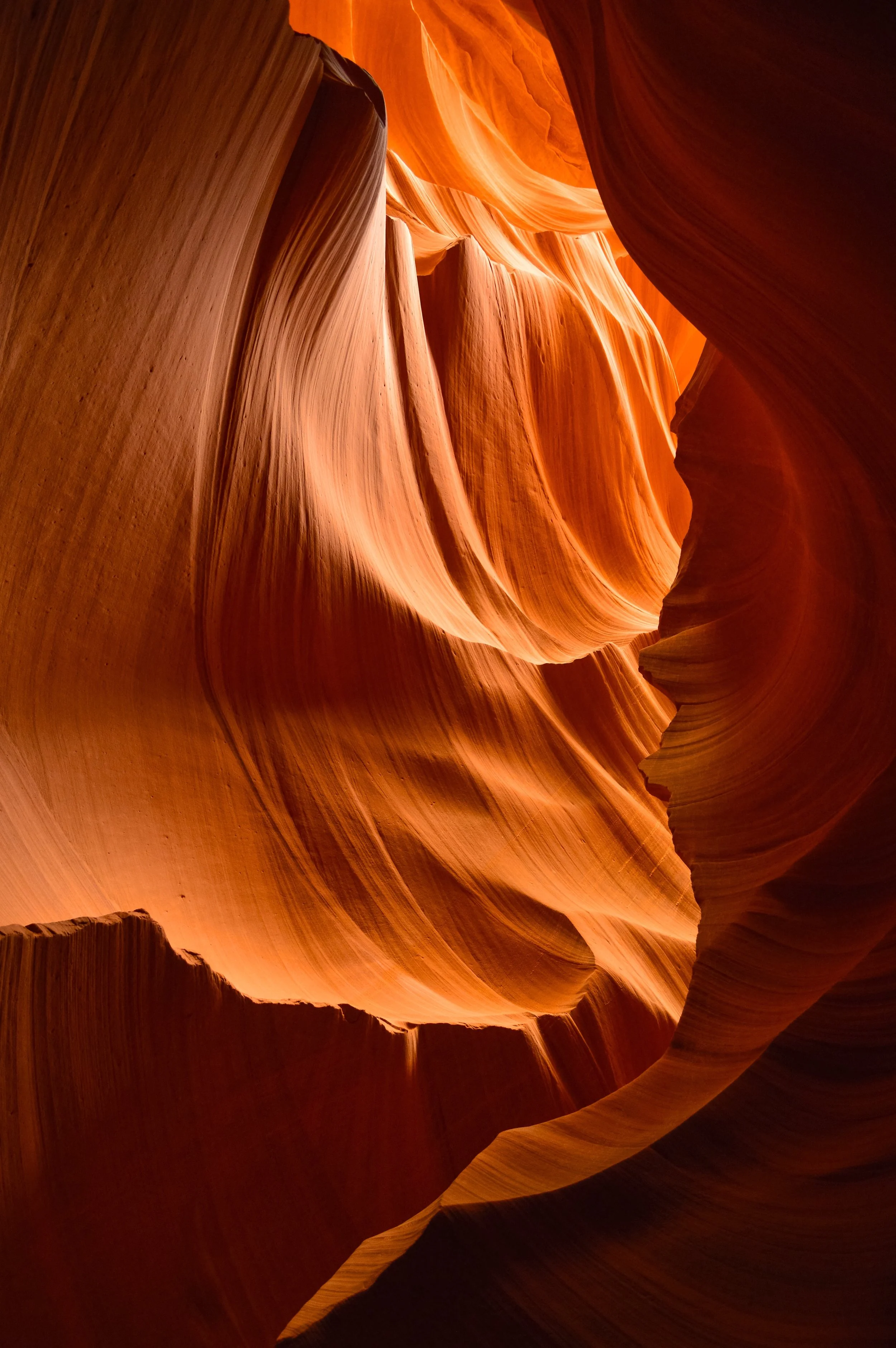   Passion   Lit  | Arizona 