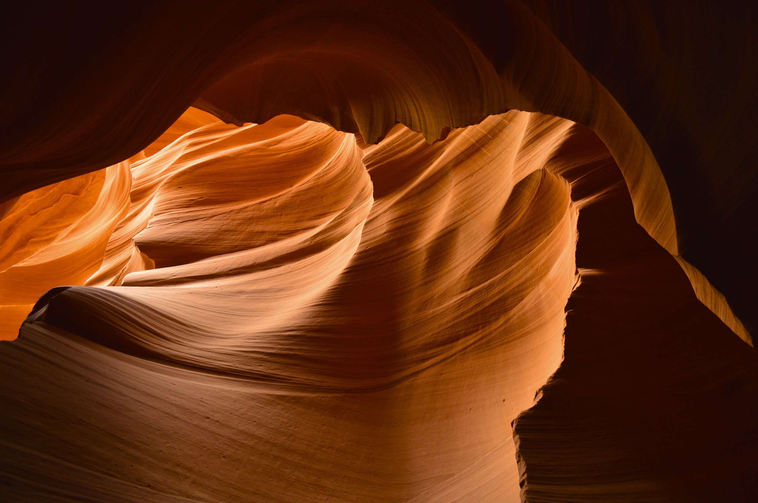   Passion Lit II  | Arizona 