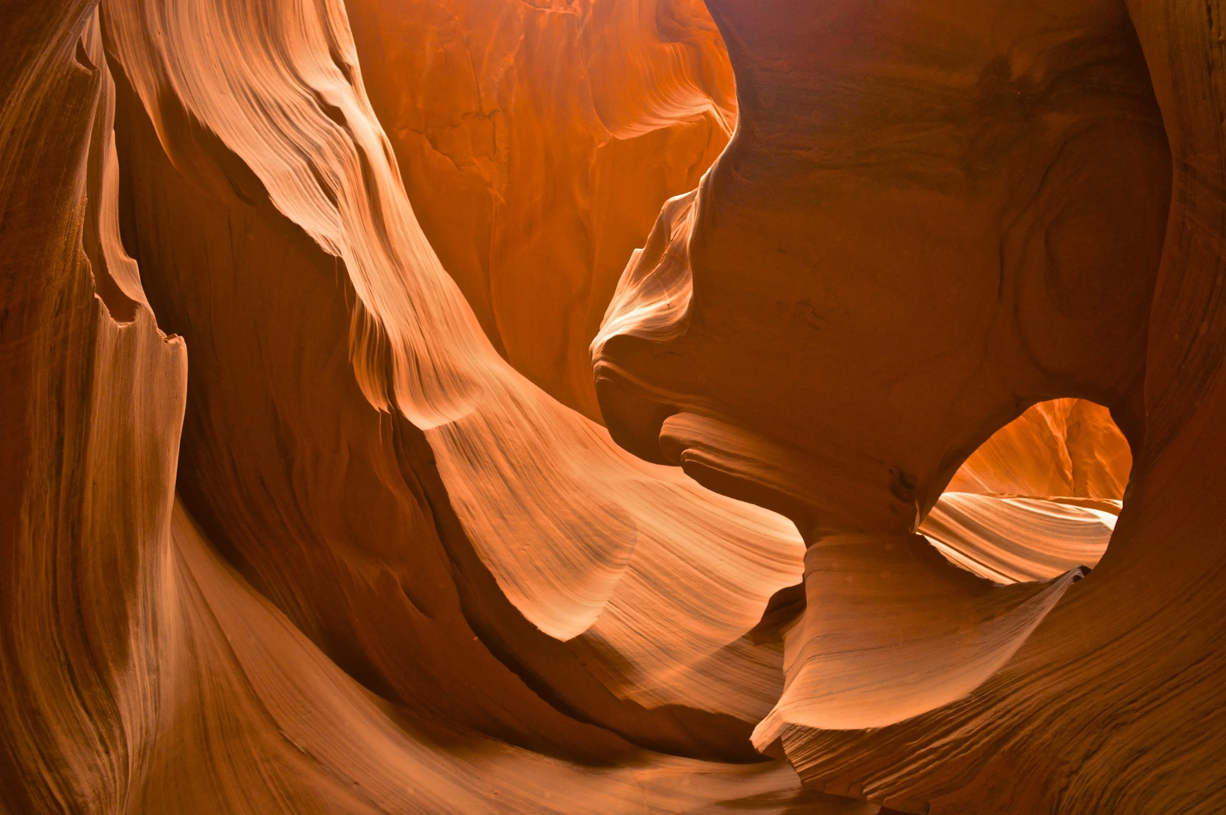  Glow  | Arizona 