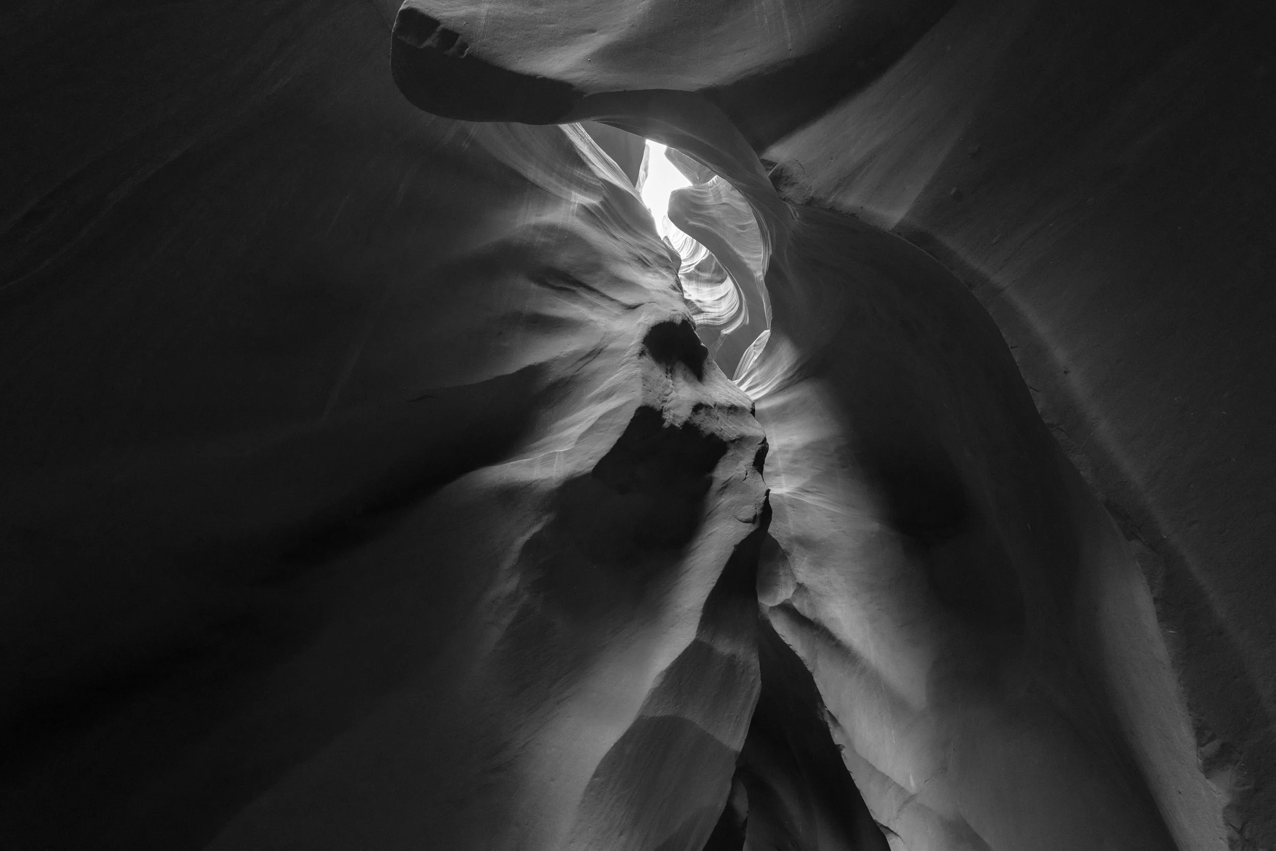   The Chief  | Arizona  