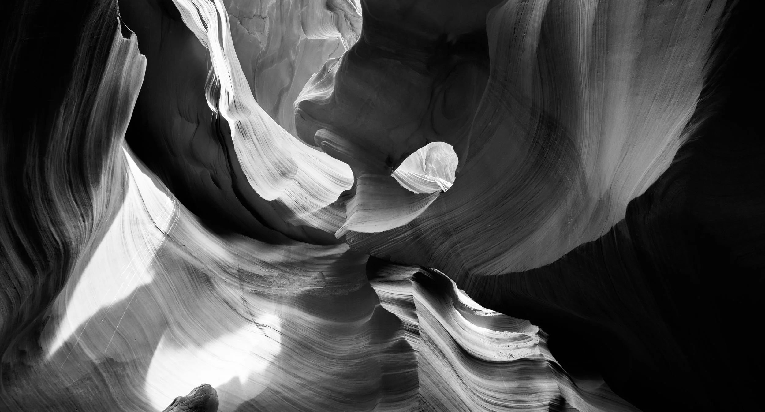   Mask  | Arizona 