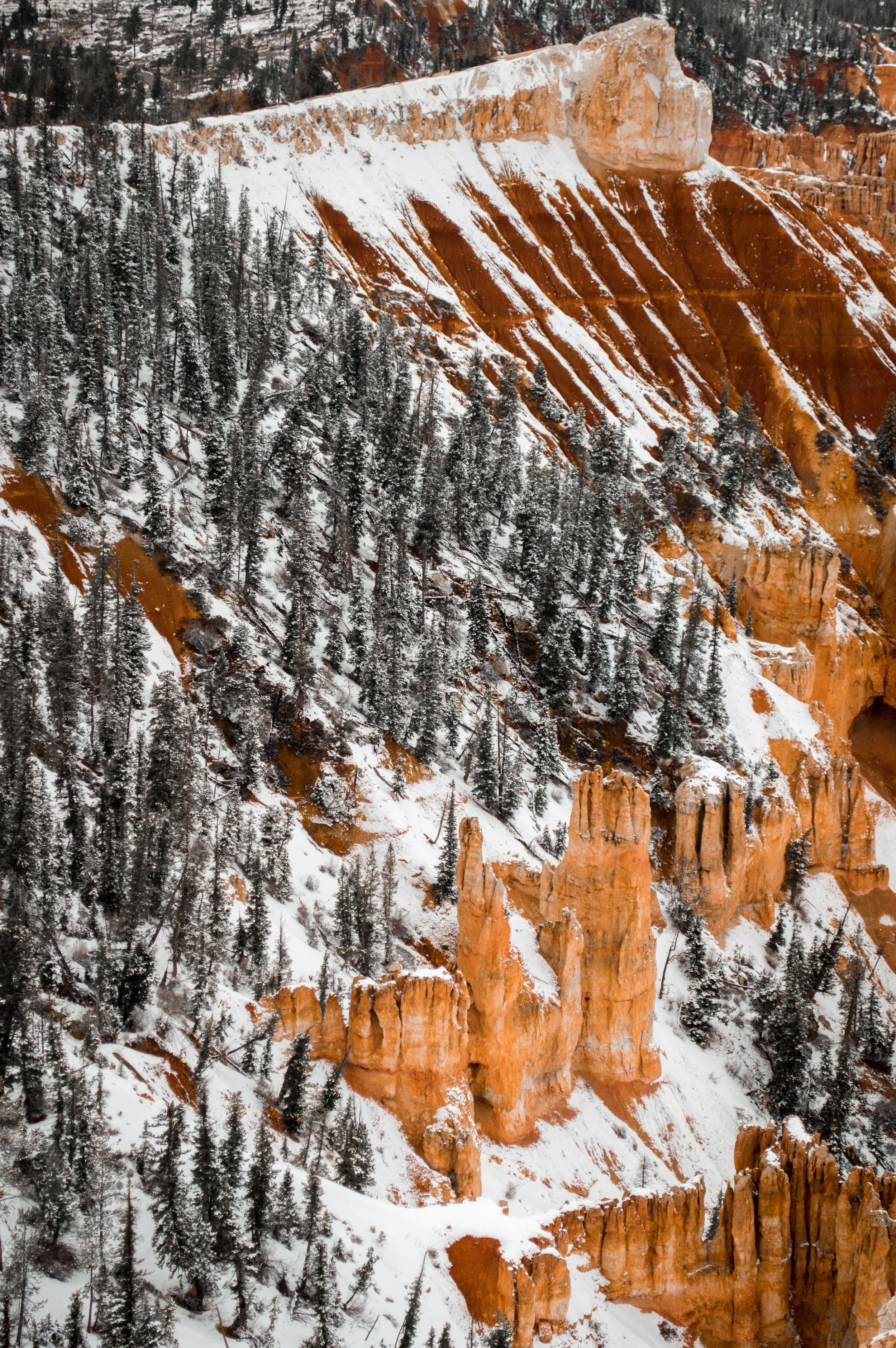   Bryce Winter  | Bryce Canyon National Park 